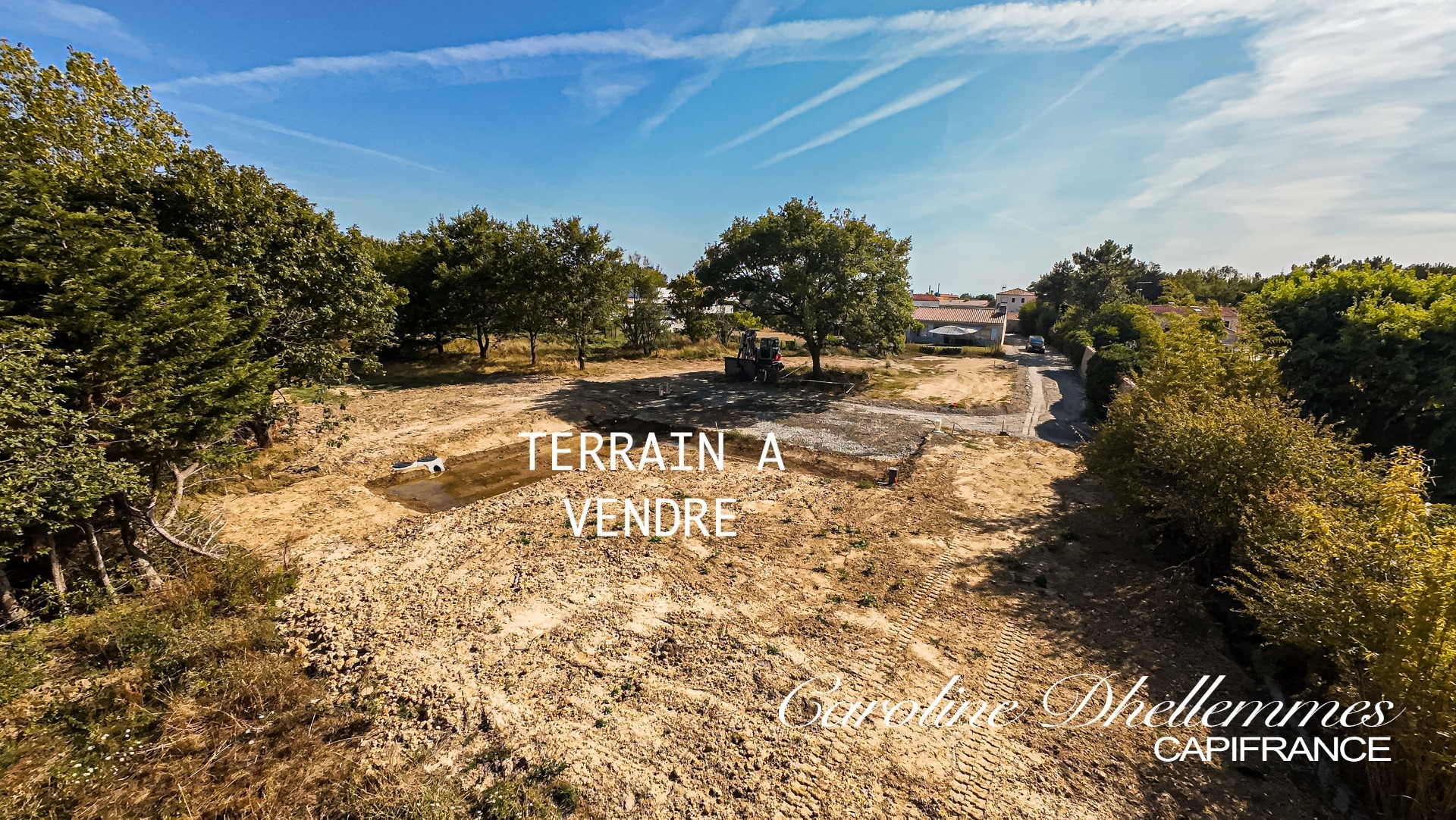 Terrain