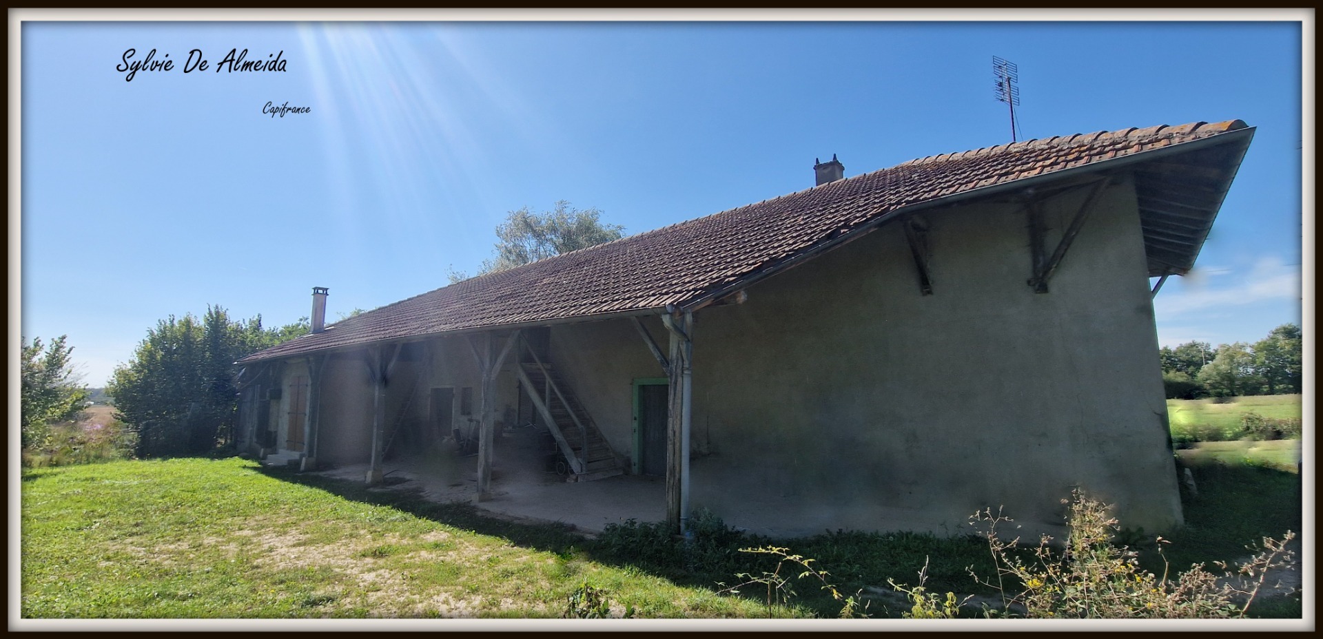 Maison