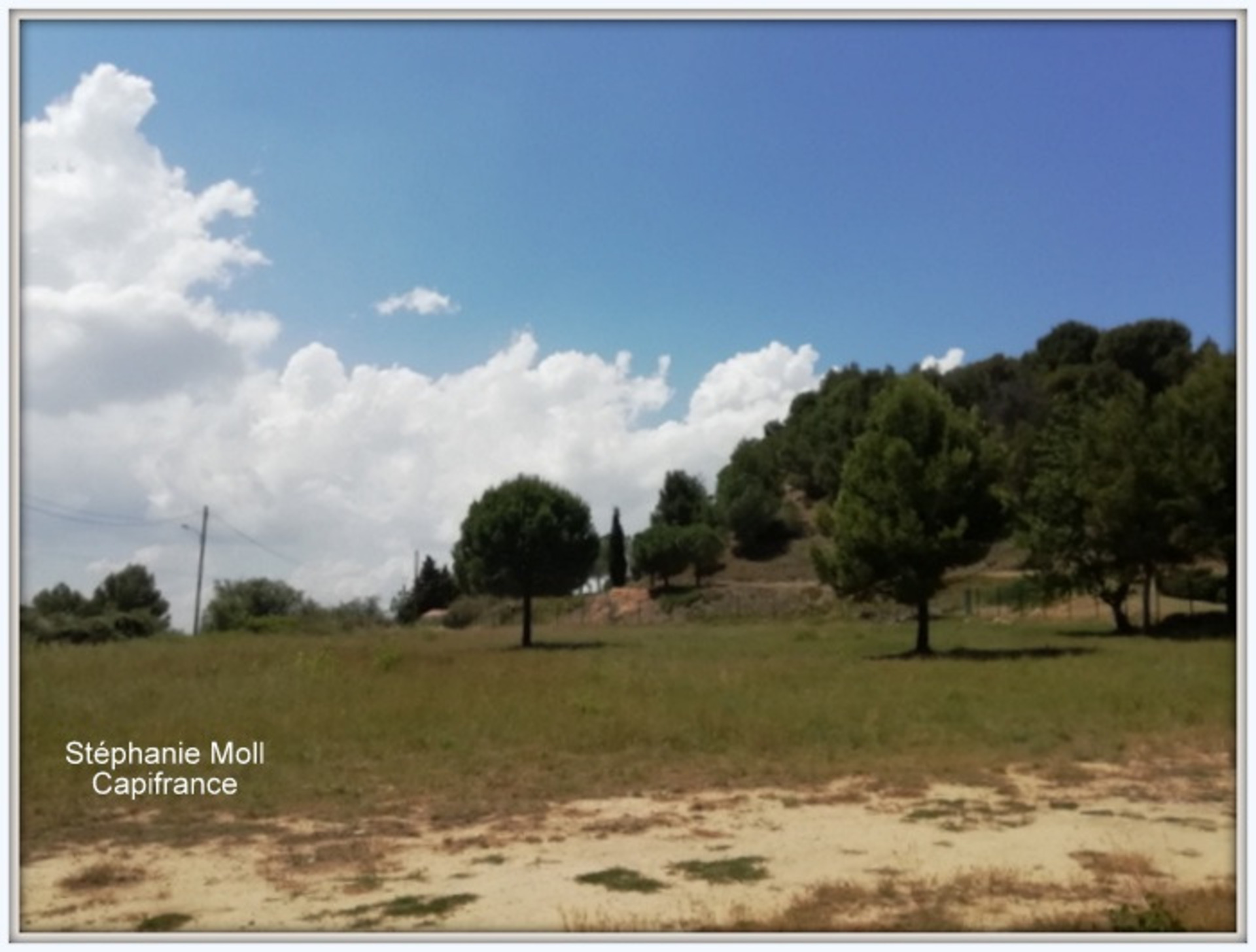 Terrain