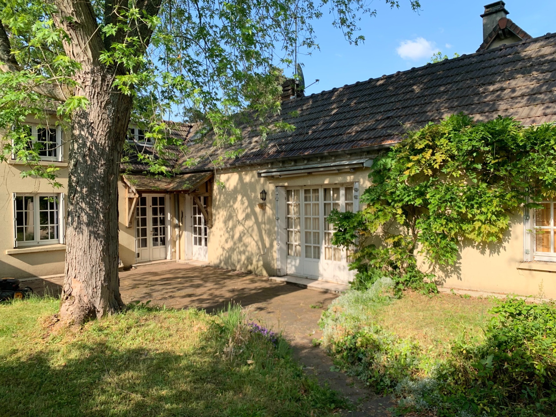 Maison