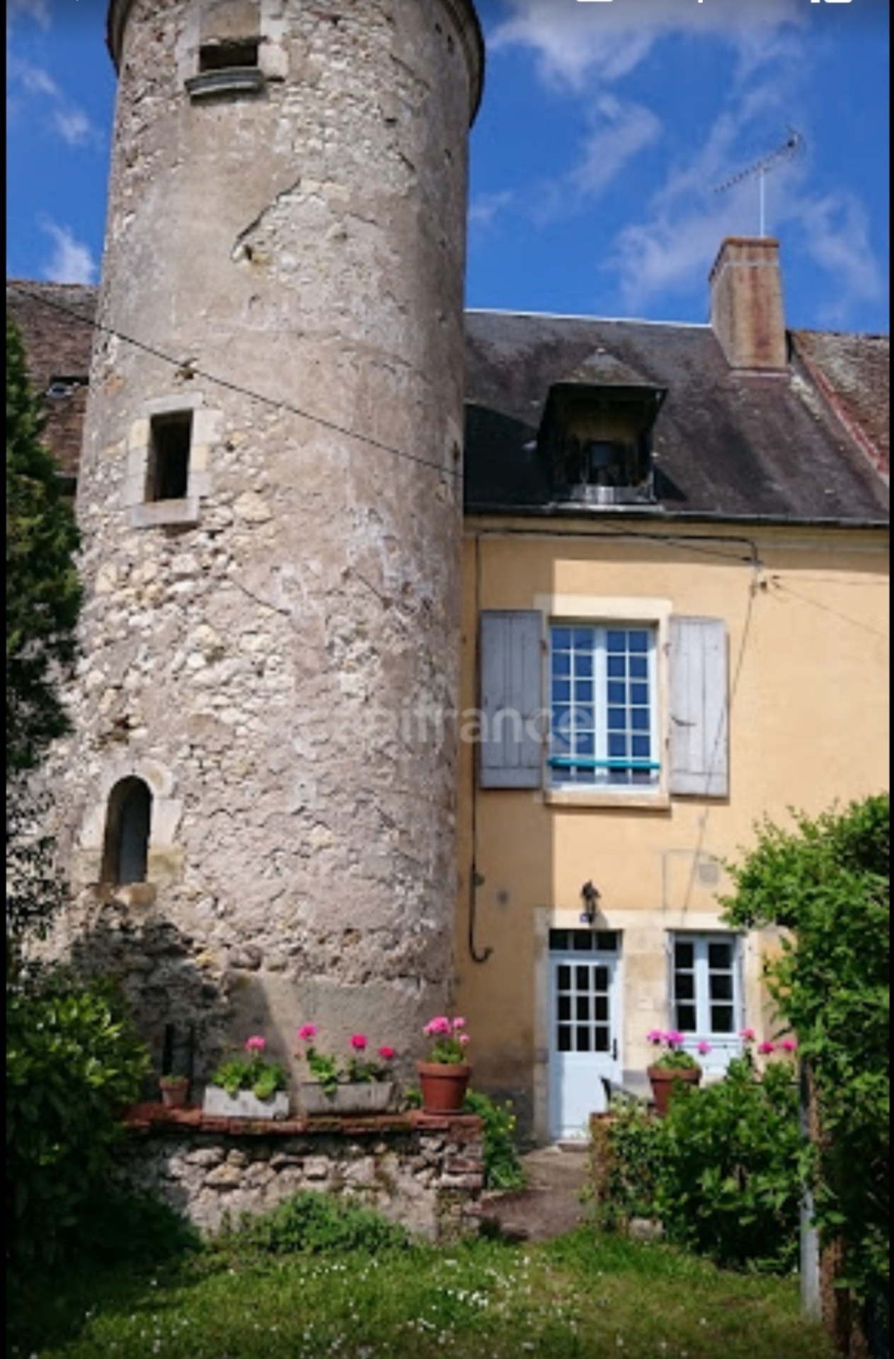Maison