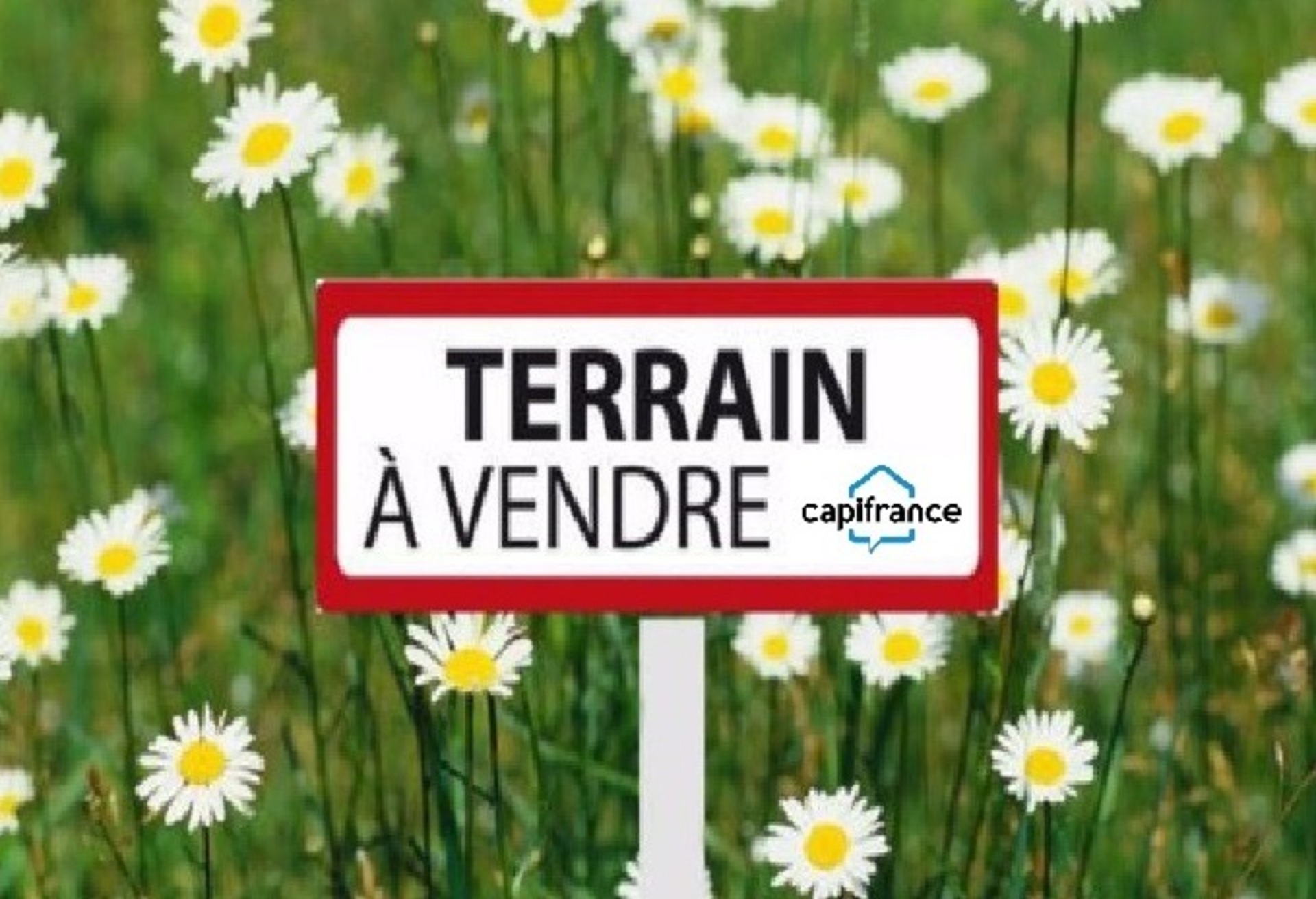 Terrain