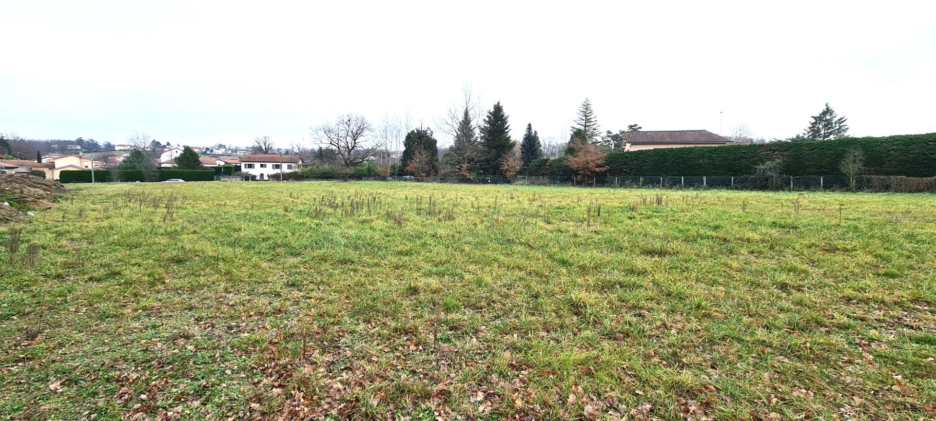 Terrain