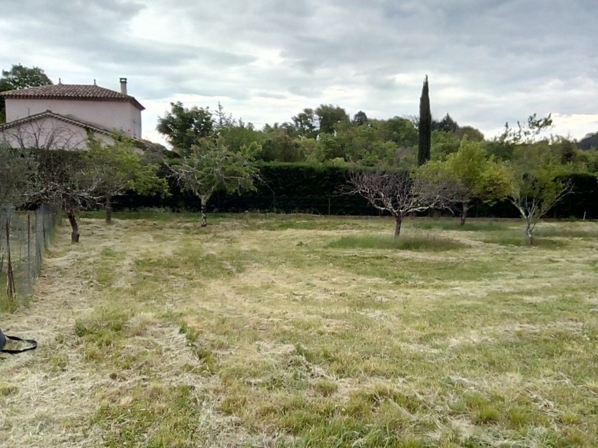 Terrain