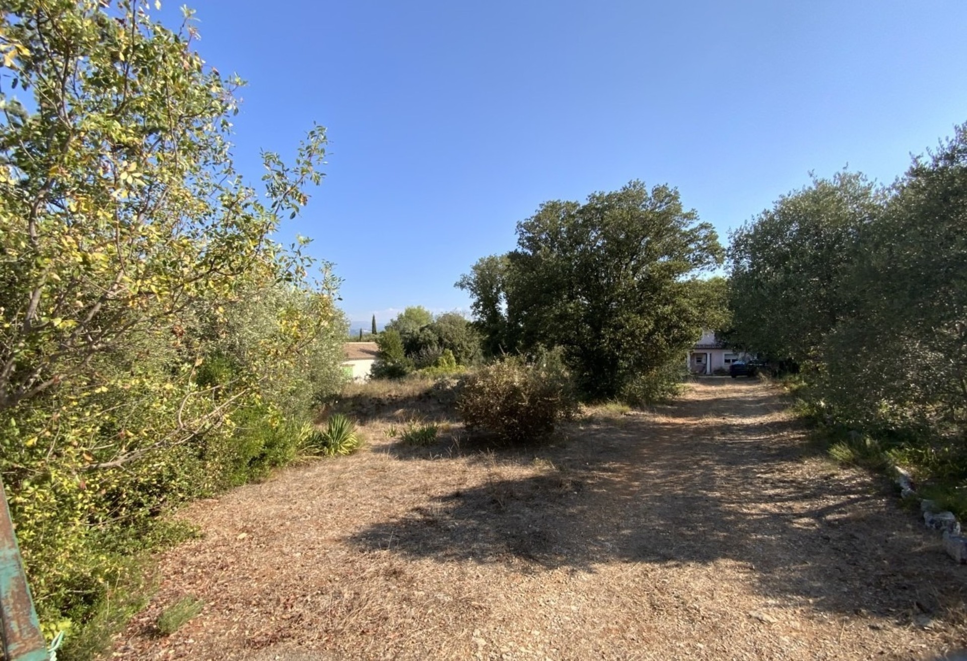 Terrain