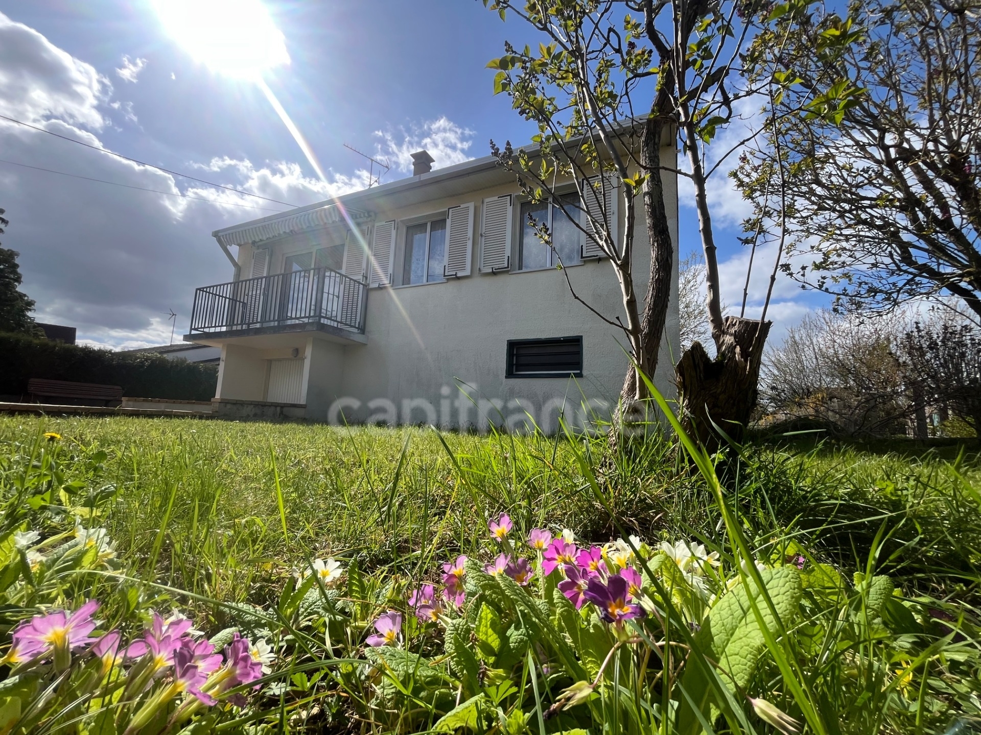 Maison