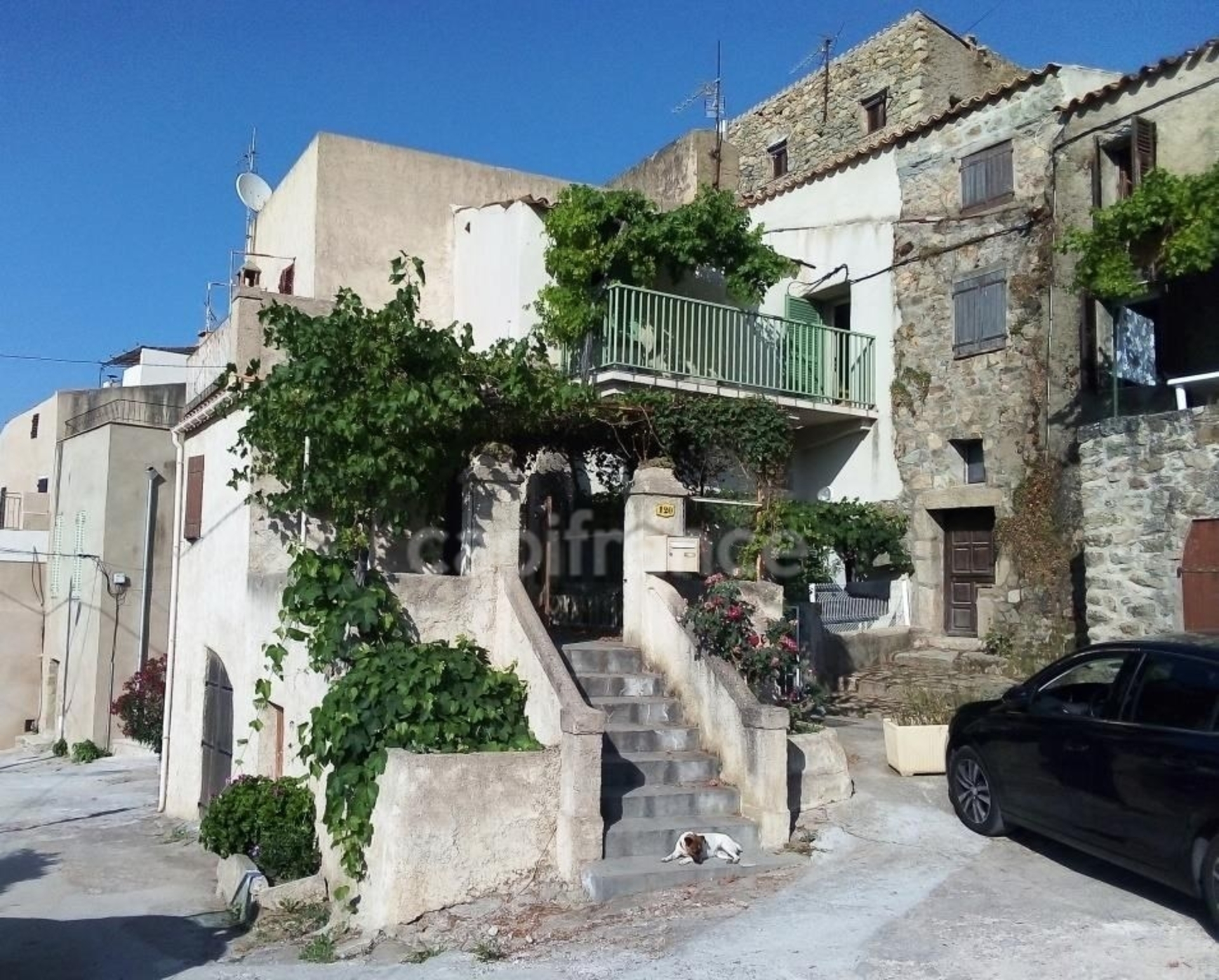Maison