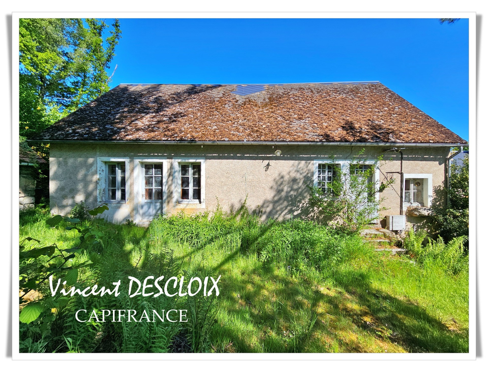 Maison
