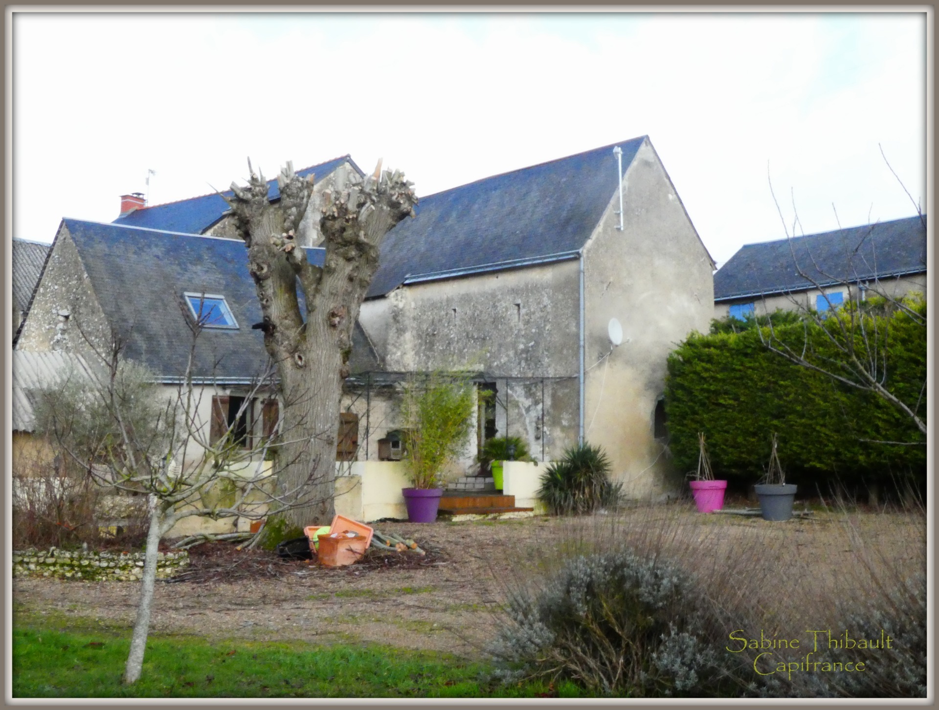 Maison