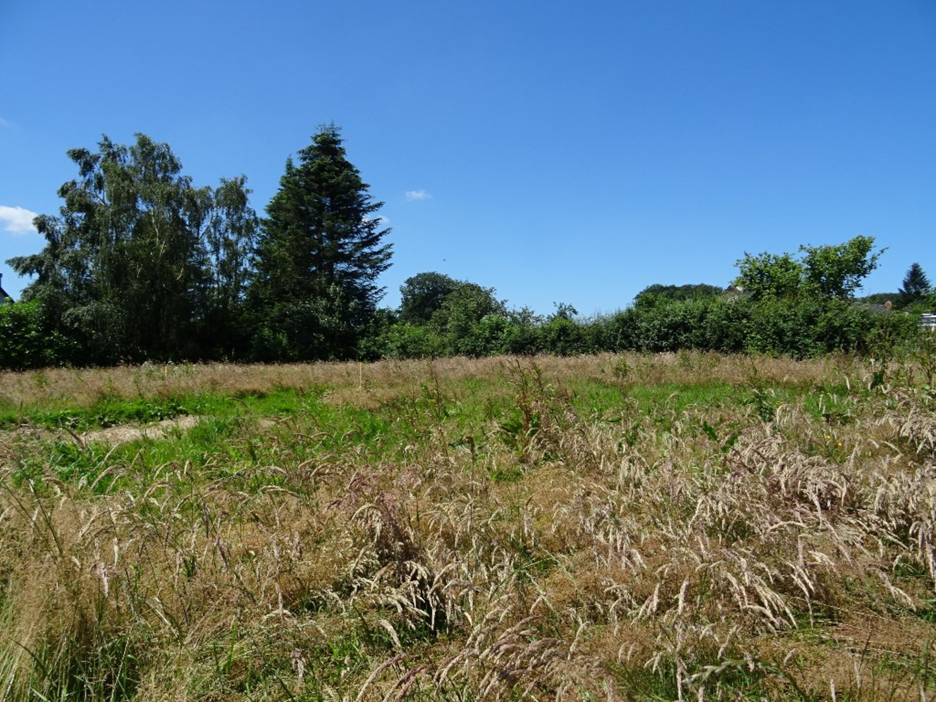 Terrain