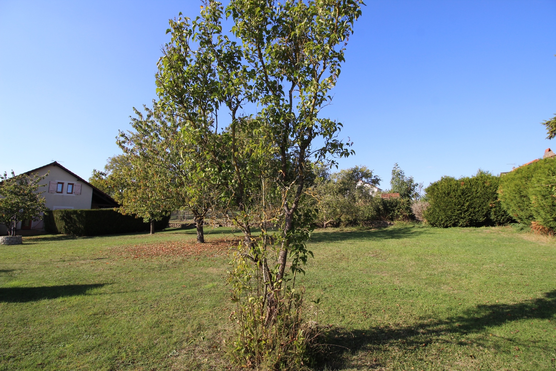 Terrain