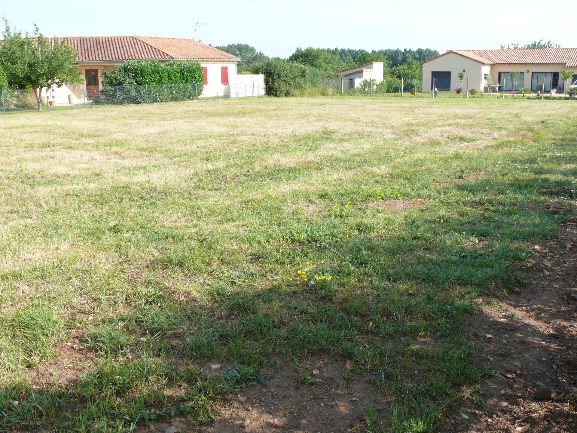 Terrain