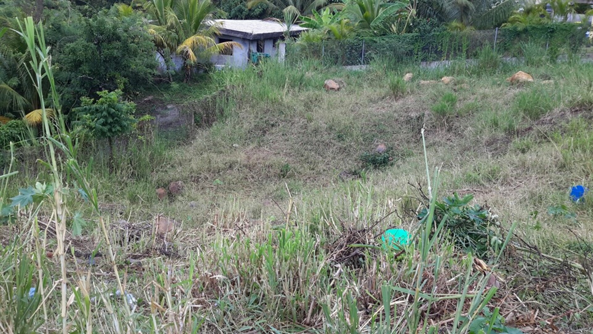 Terrain