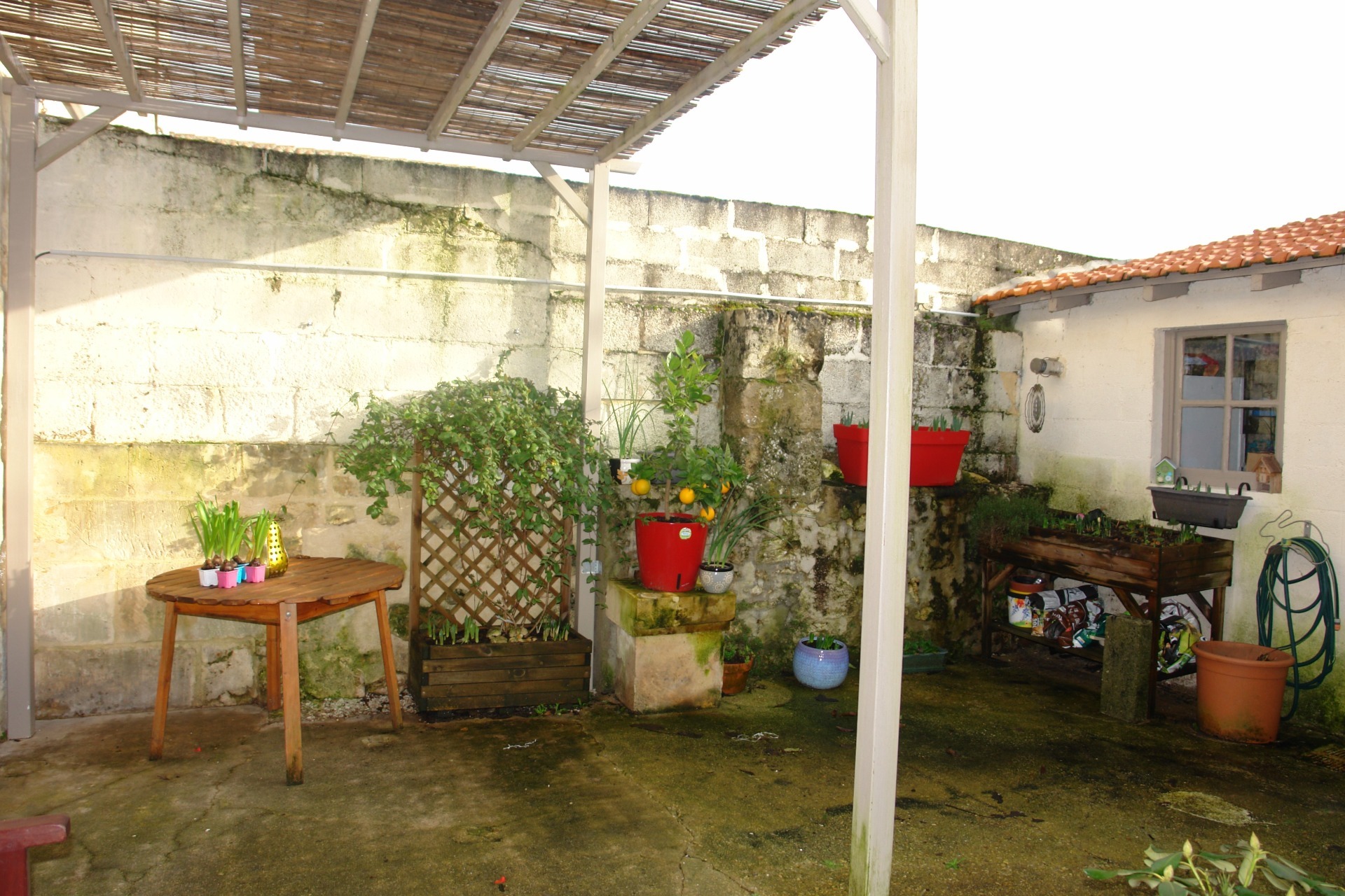 Maison
