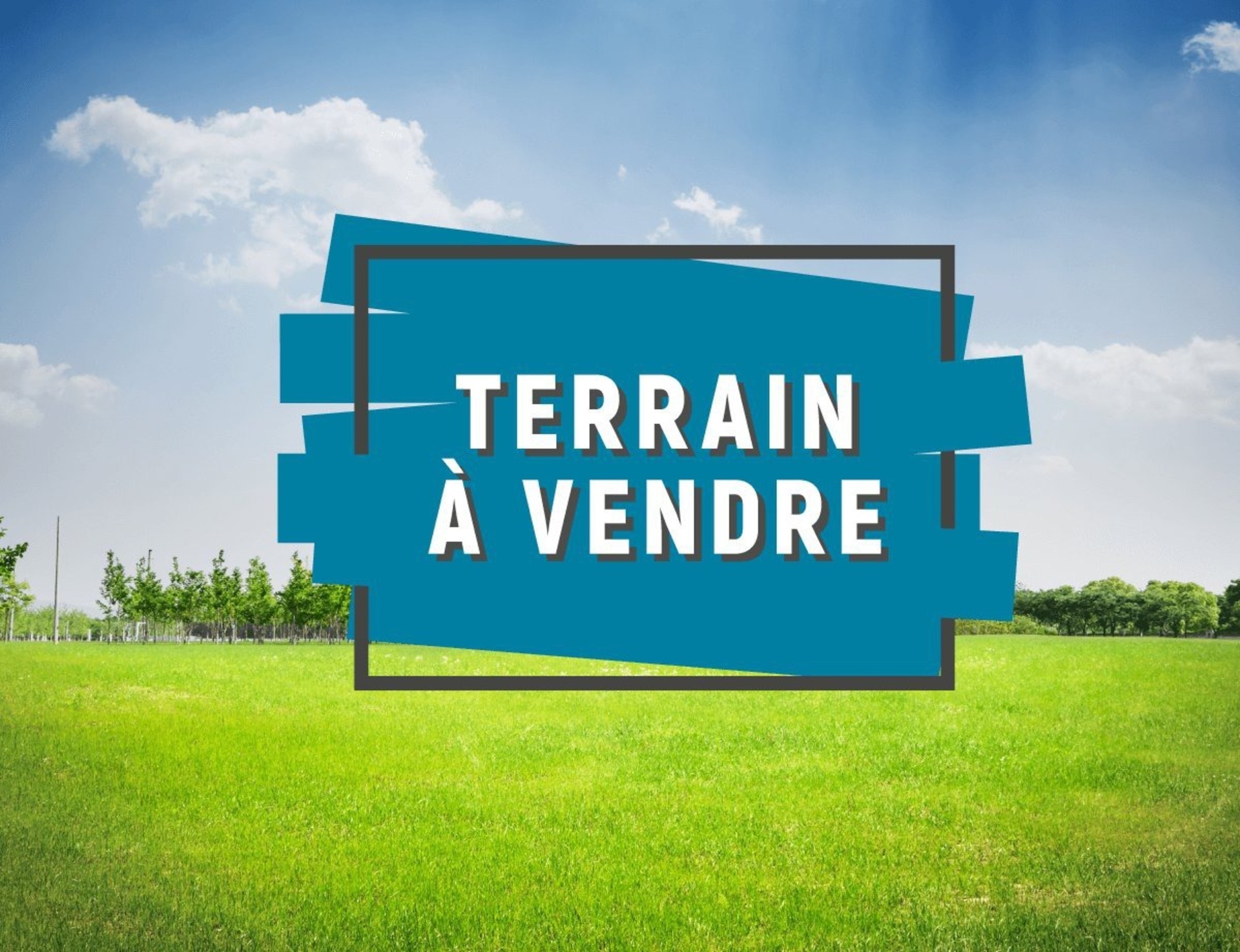 Terrain