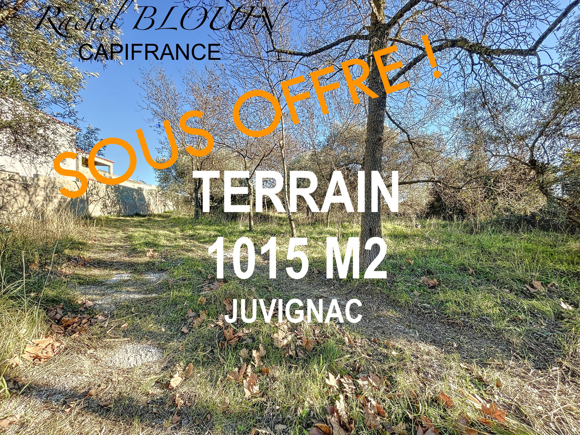 Terrain