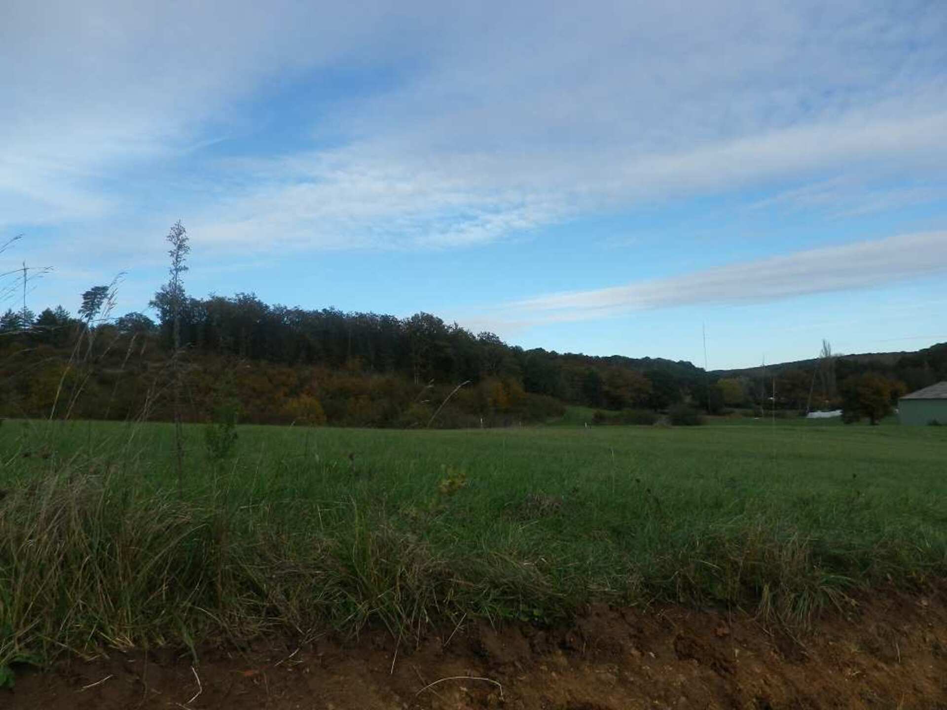 Terrain