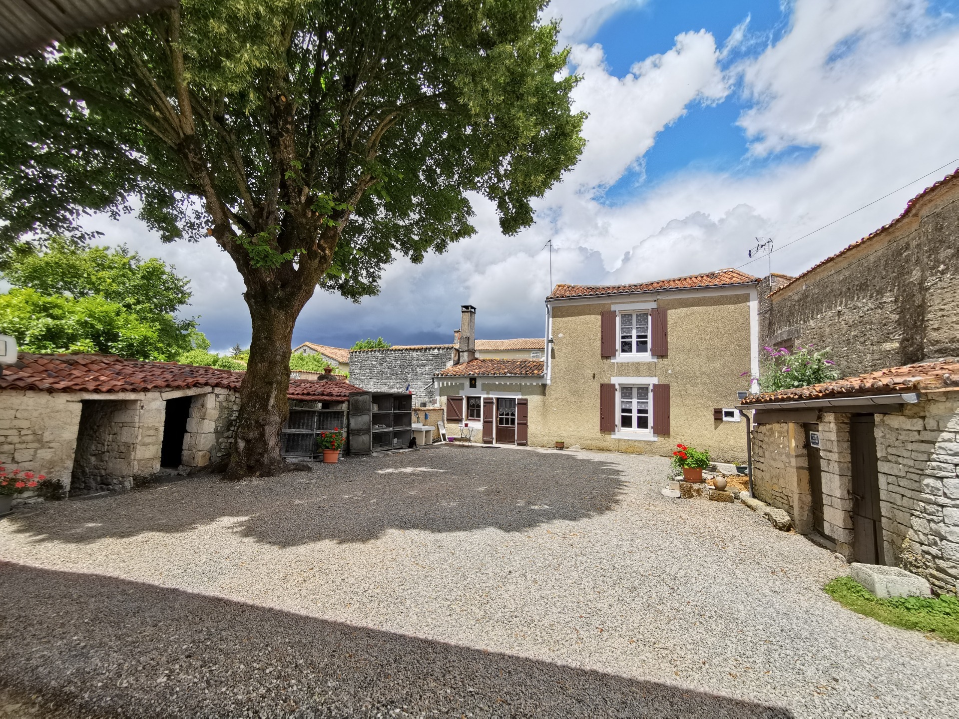 Maison