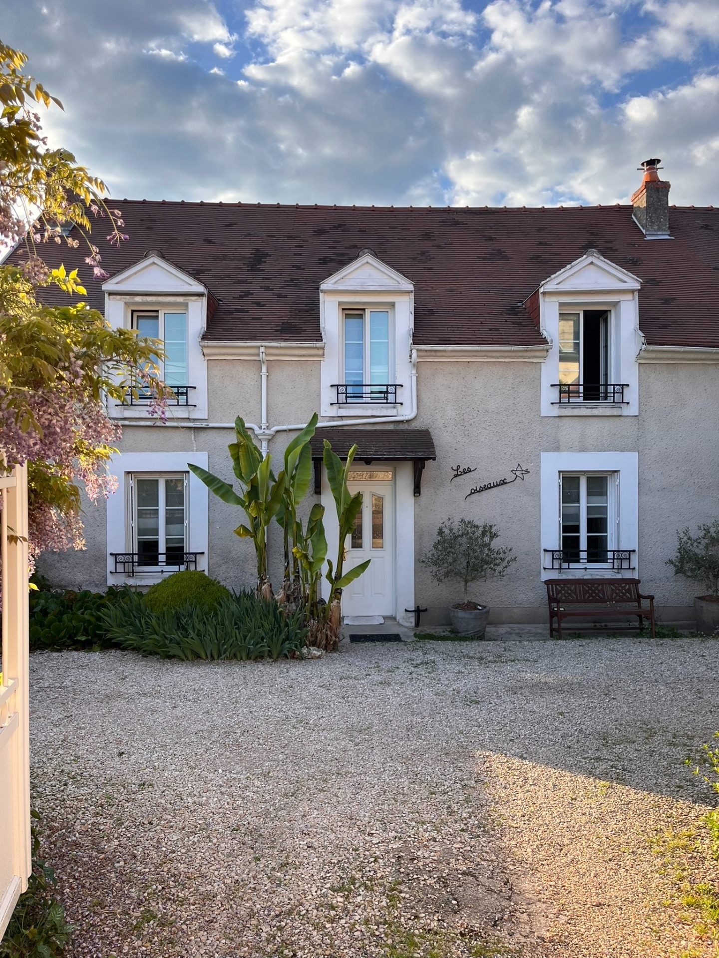 Maison