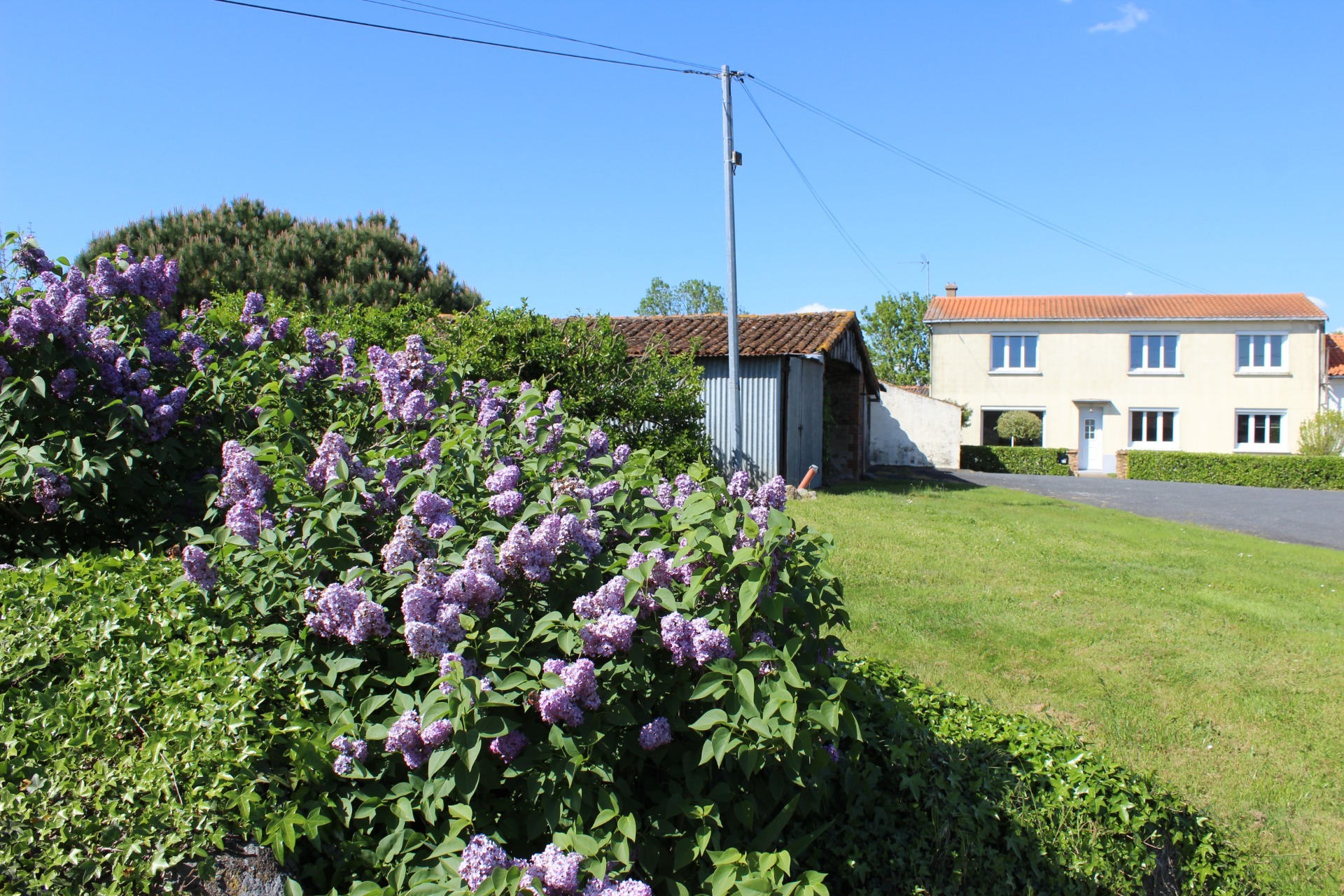 Maison