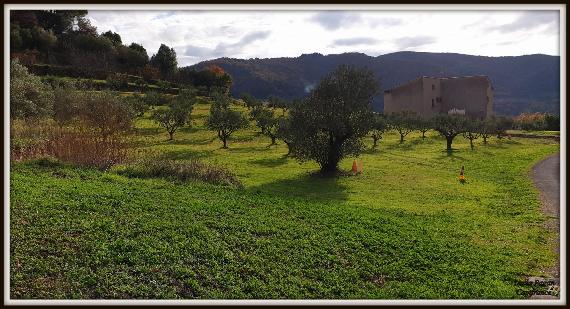 Terrain