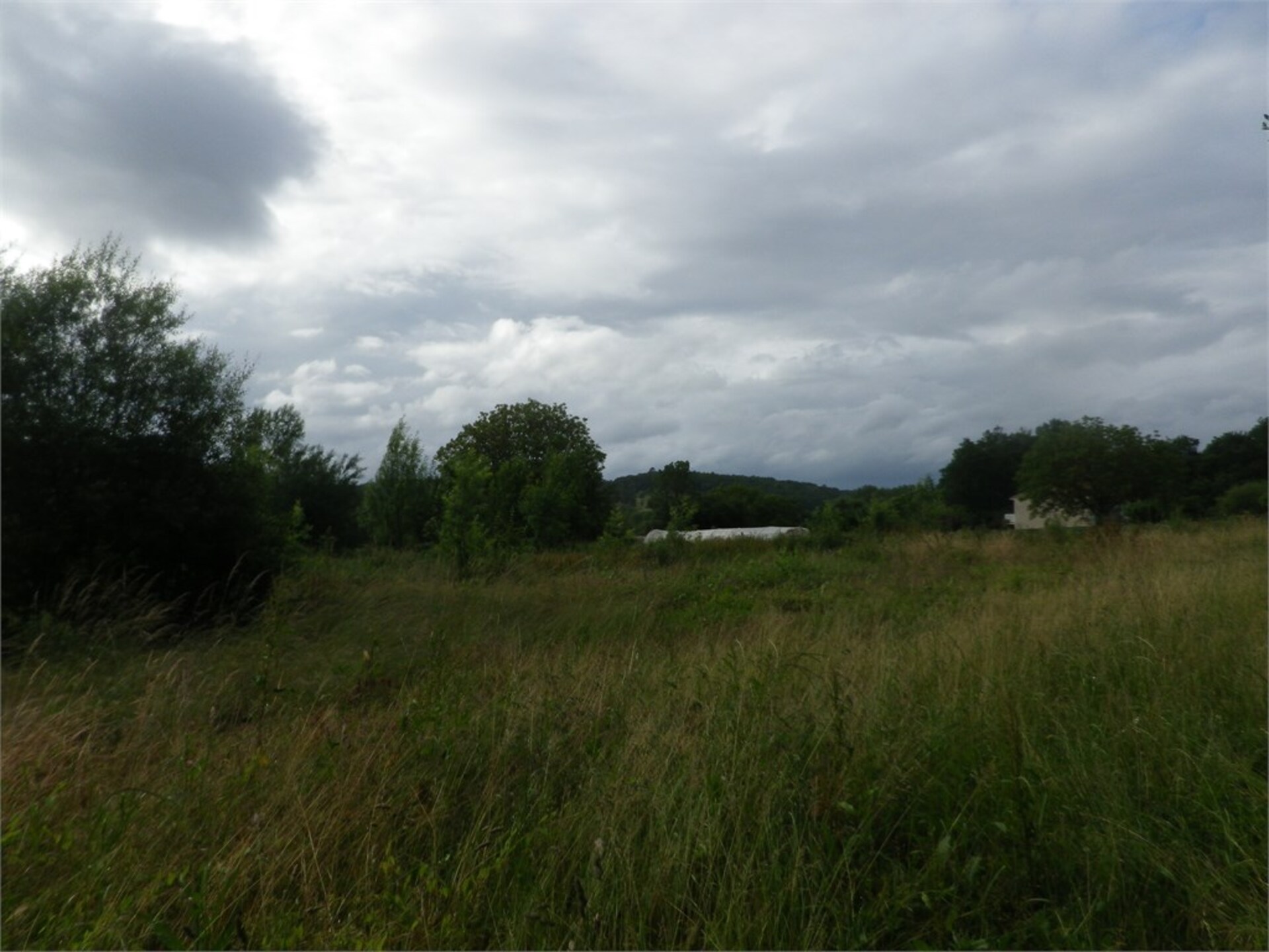 Terrain