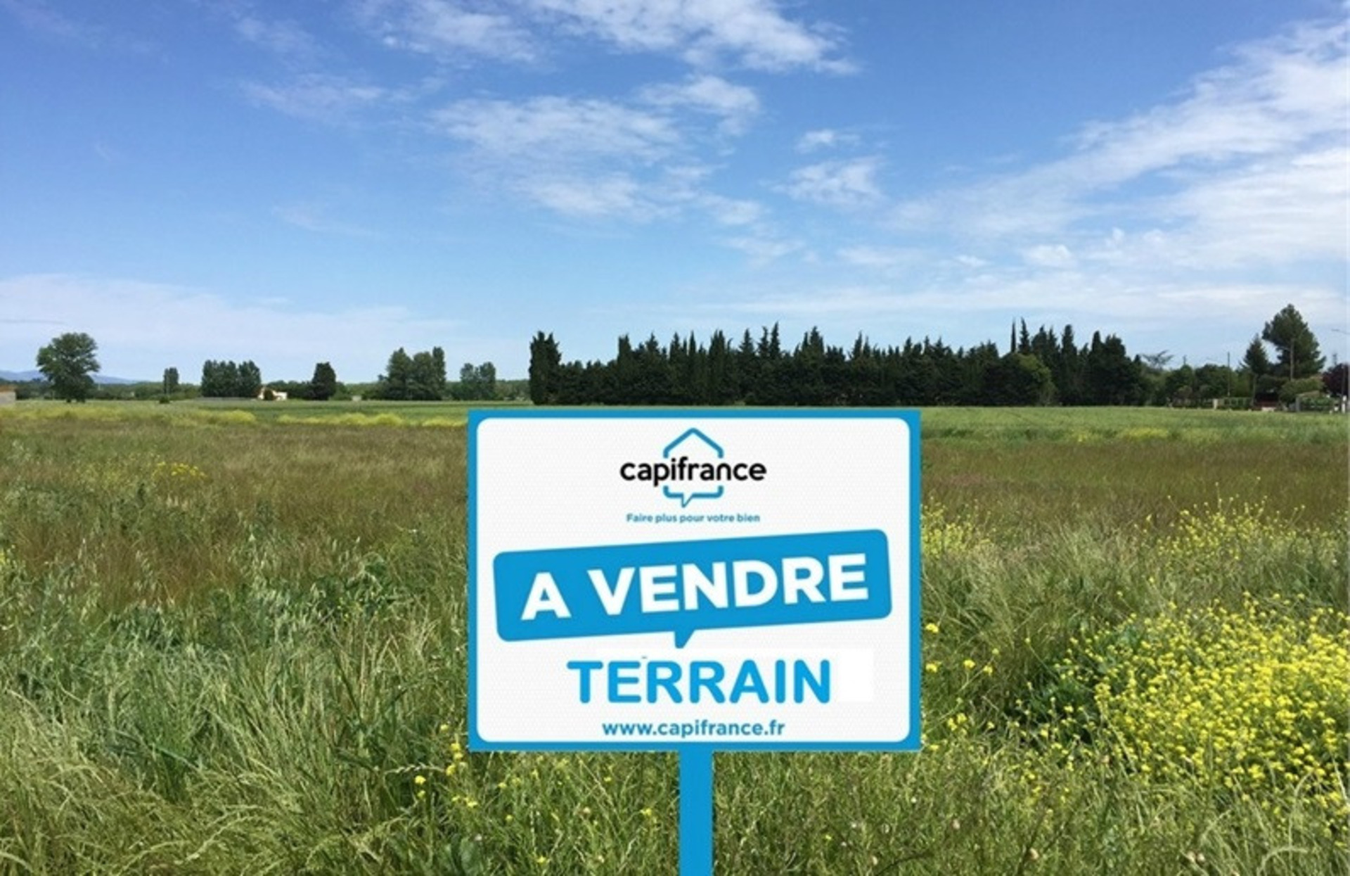 Terrain