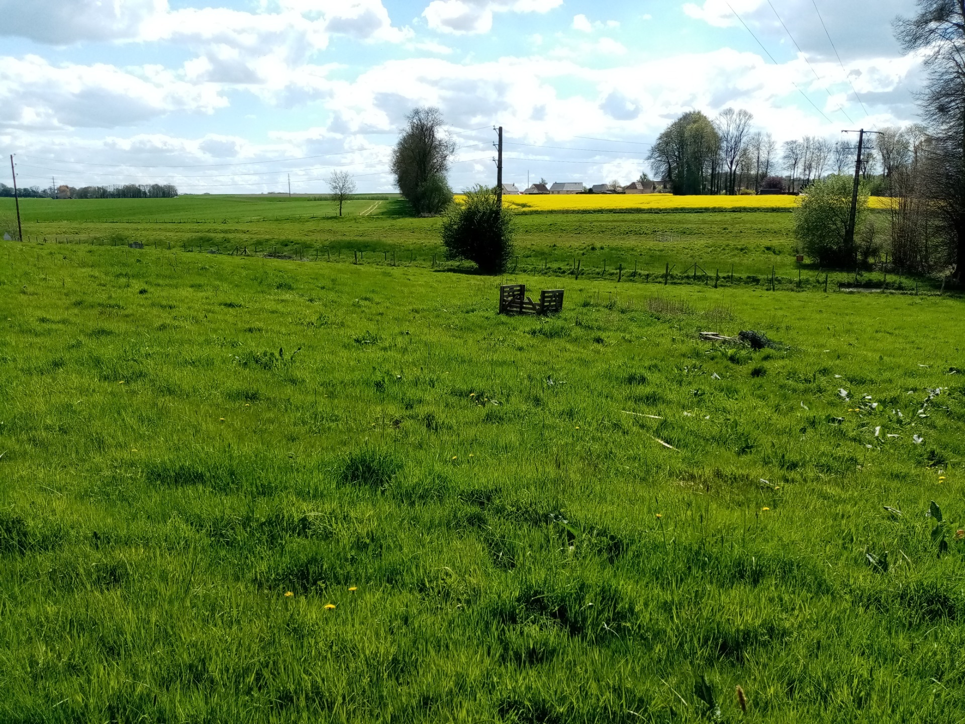 Terrain