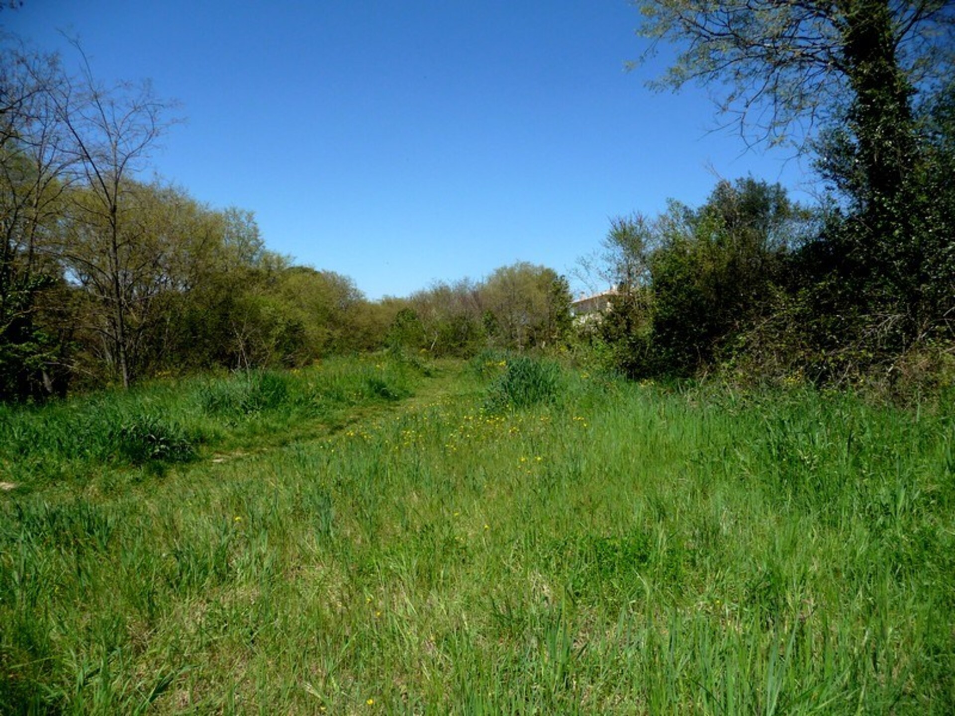 Terrain