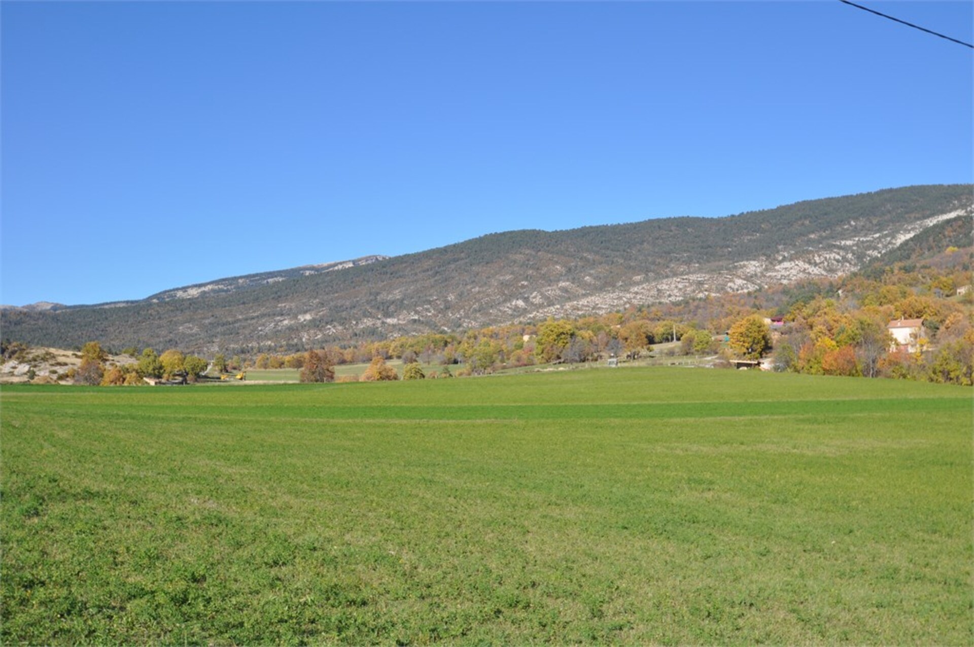 Terrain