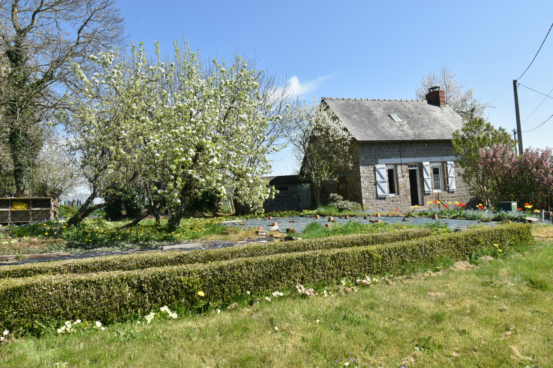 Maison