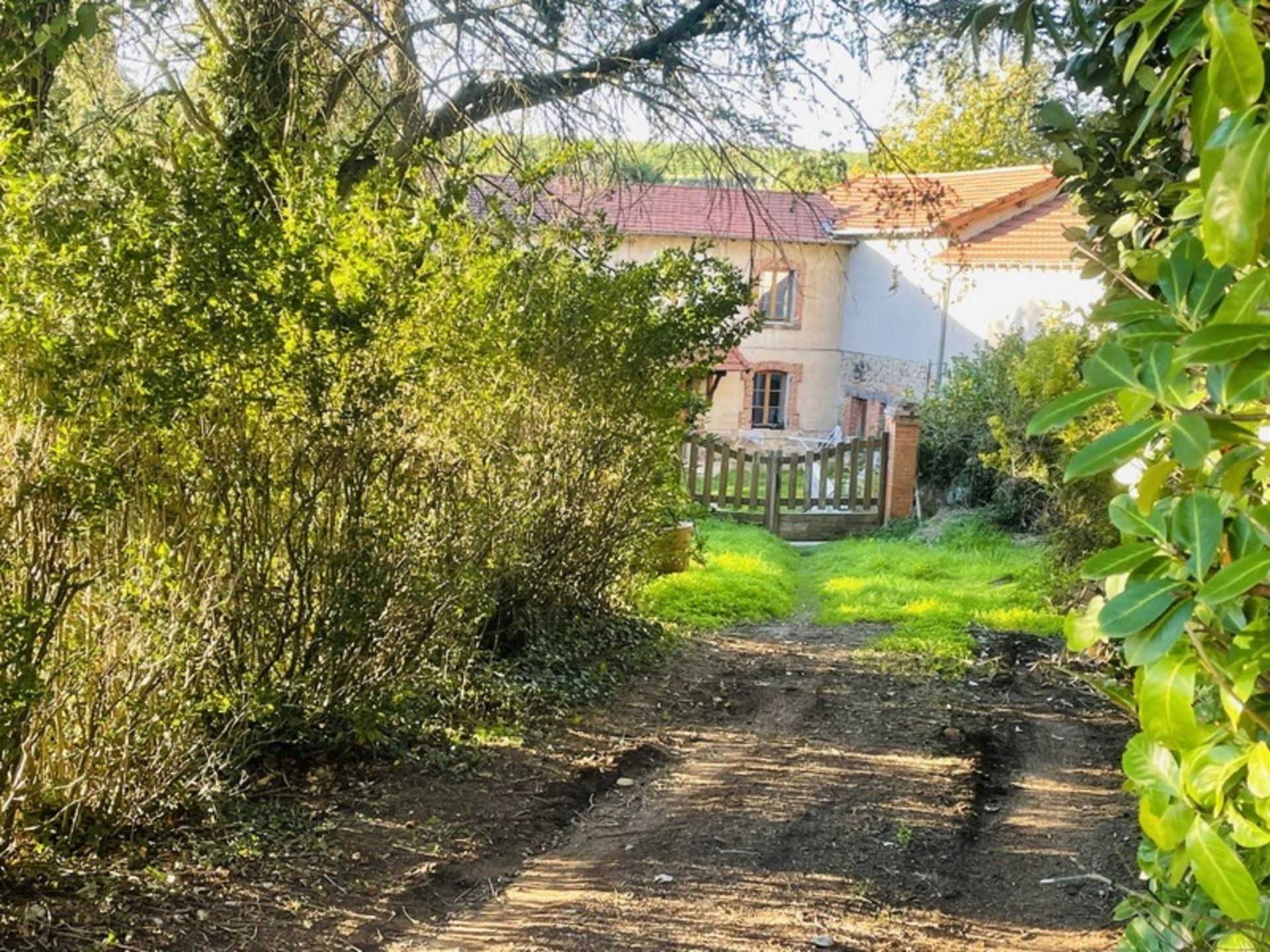 Maison