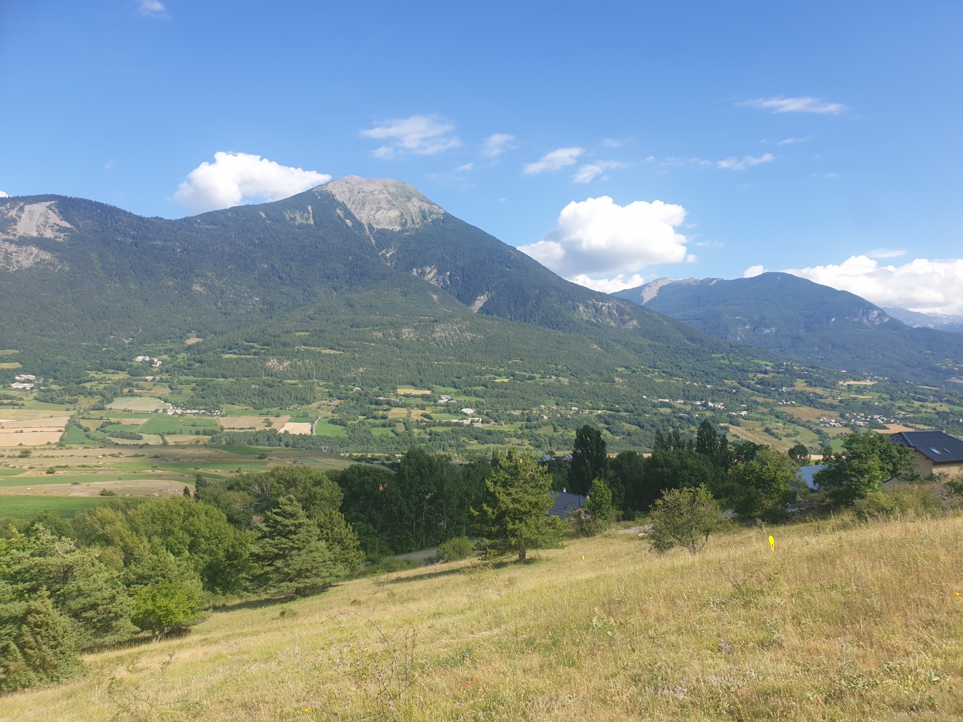 Terrain