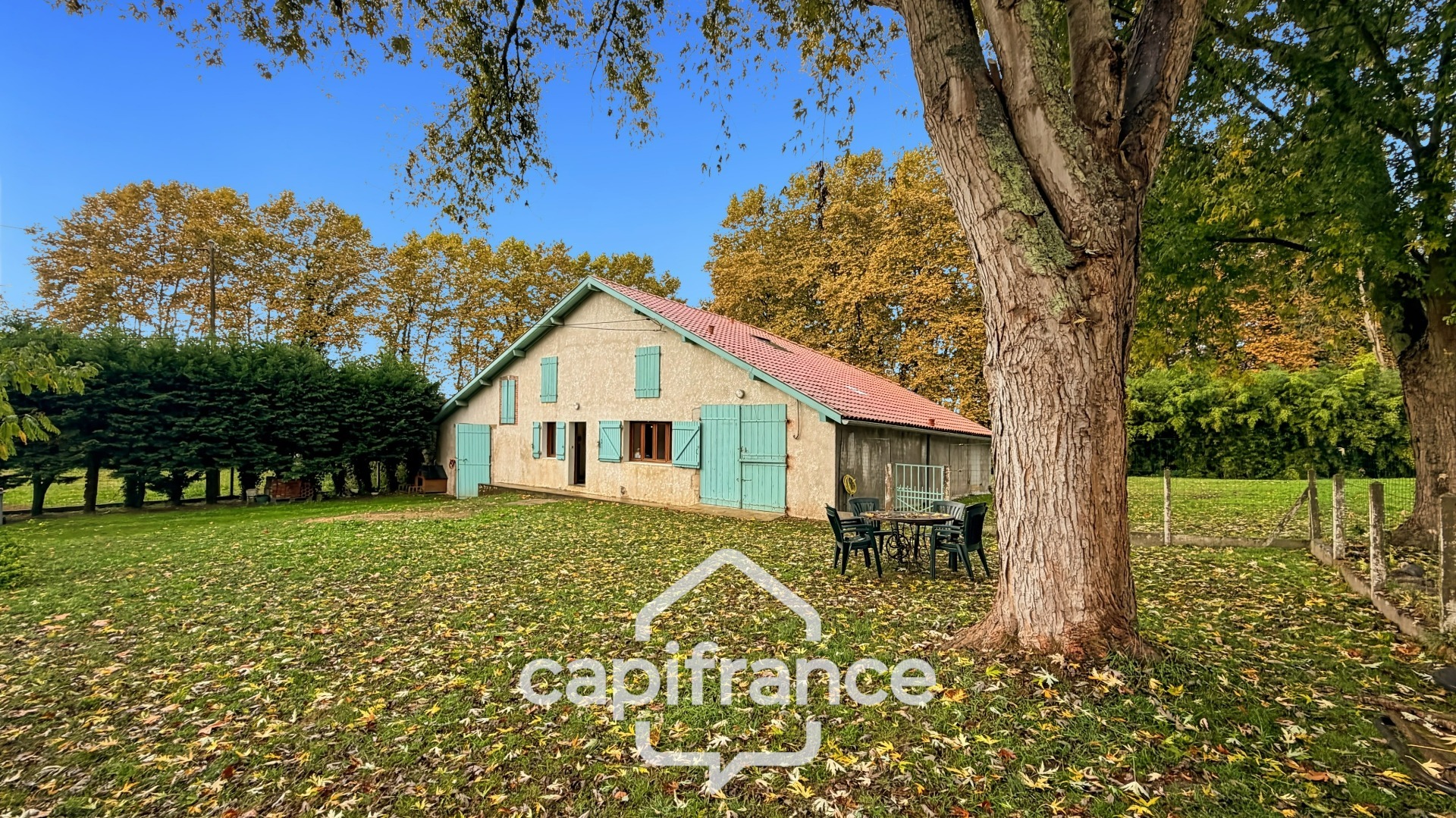 Maison