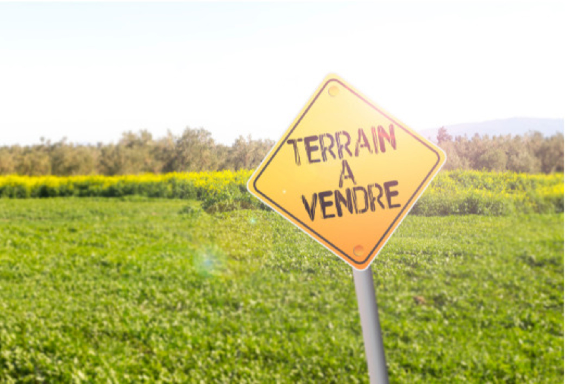 Terrain