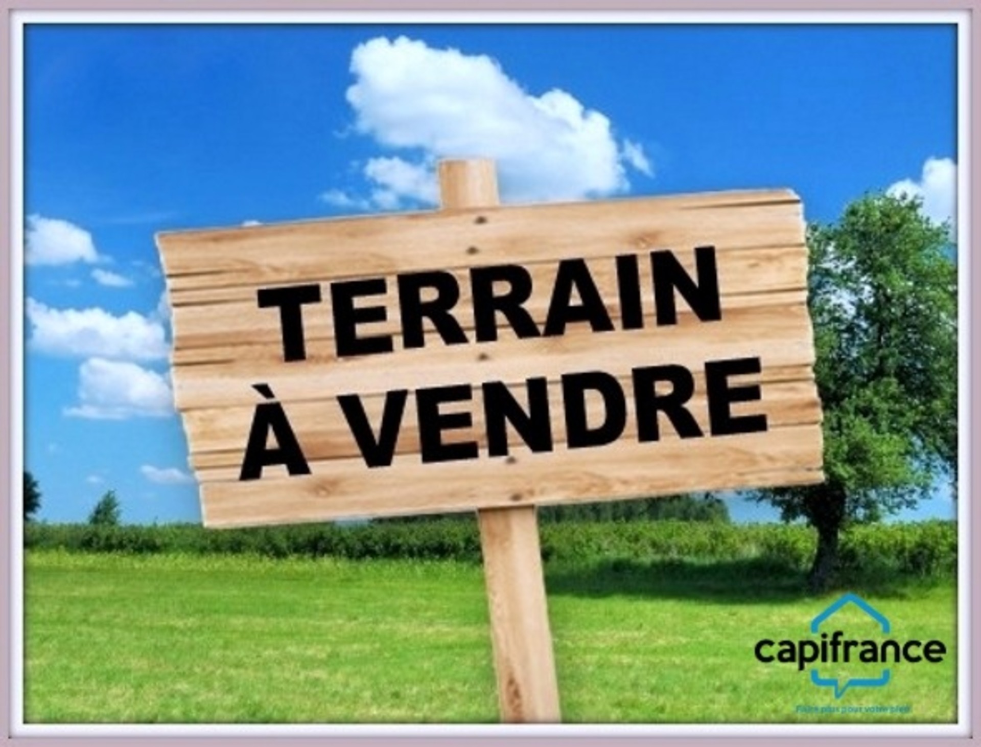 Terrain