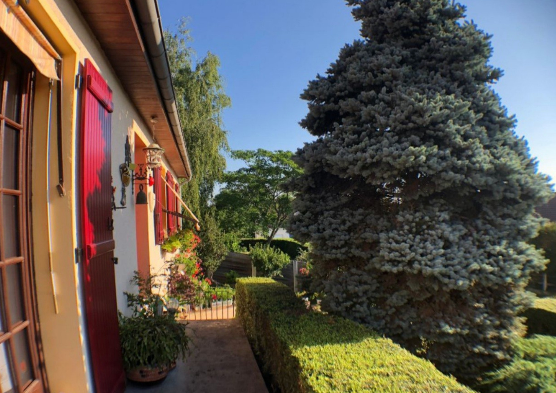 Maison