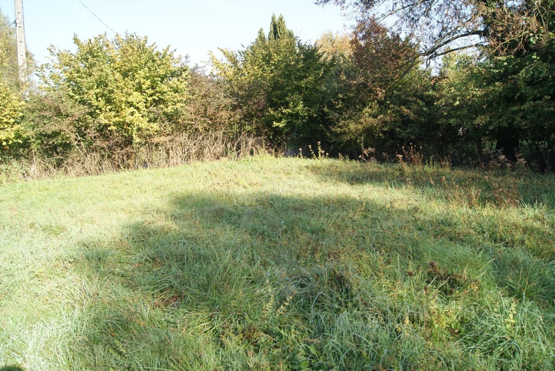 Terrain