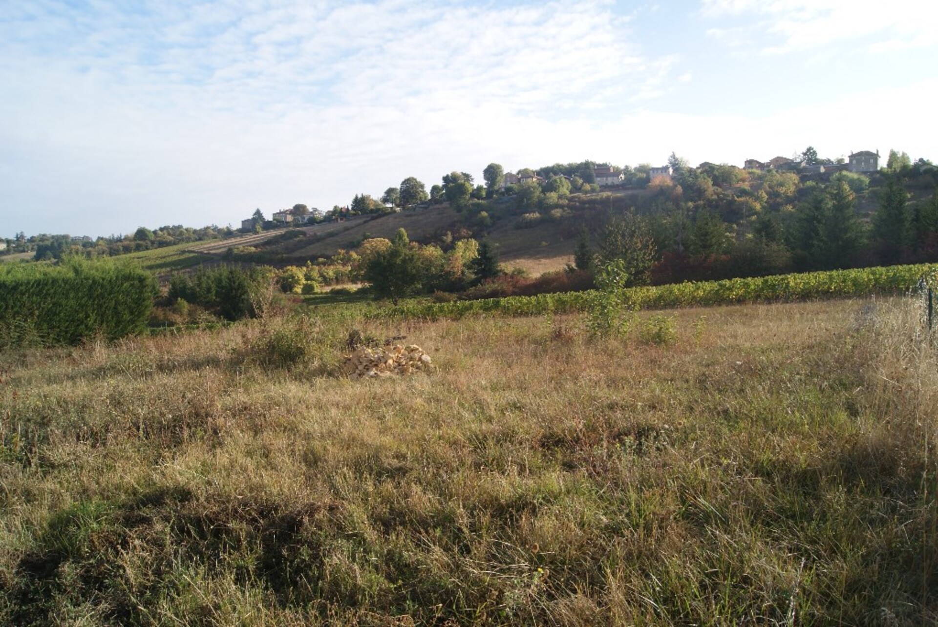 Terrain