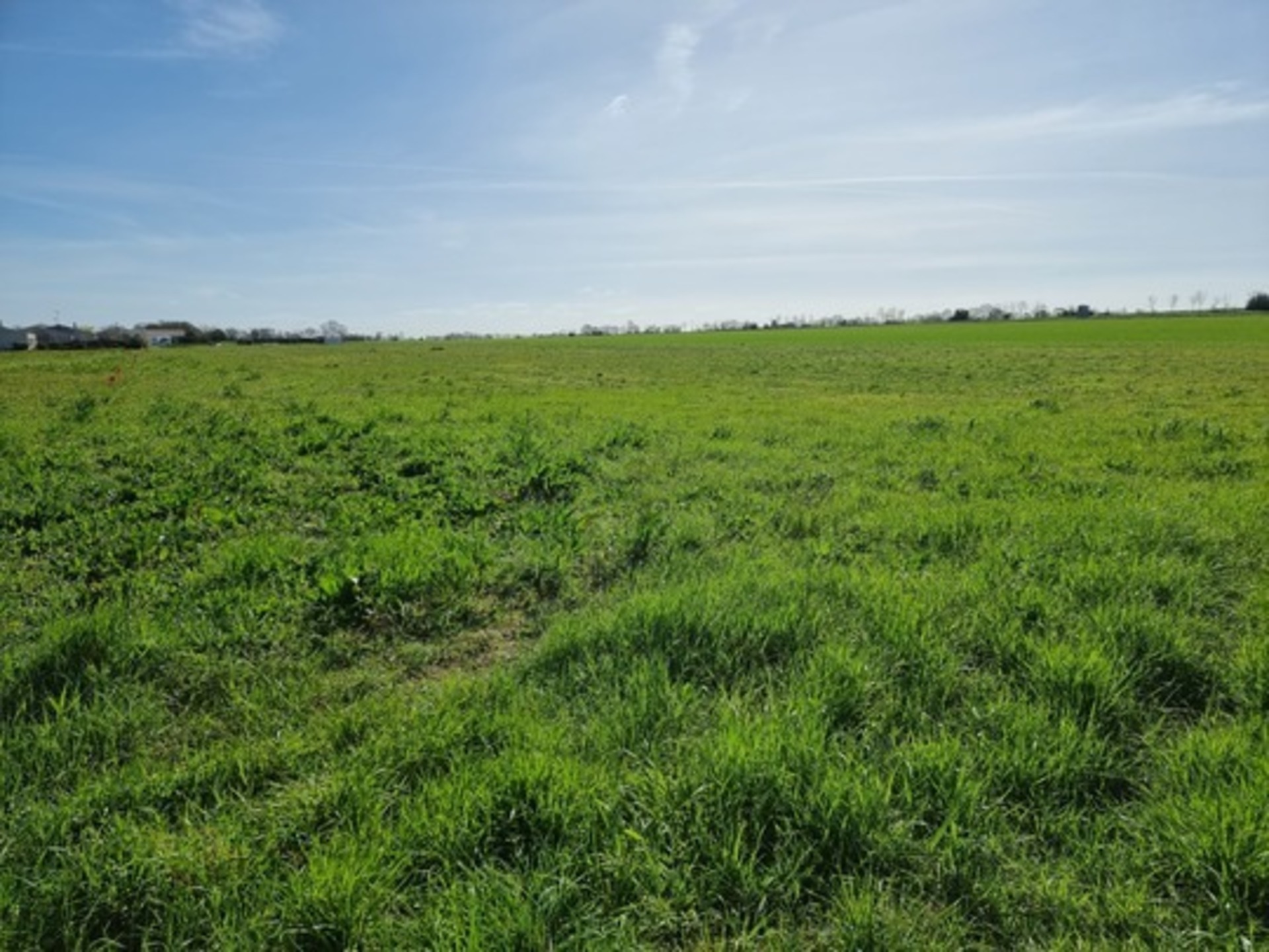 Terrain