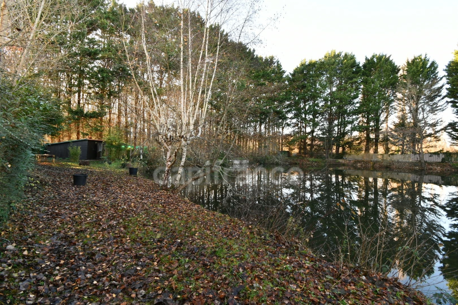 Terrain
