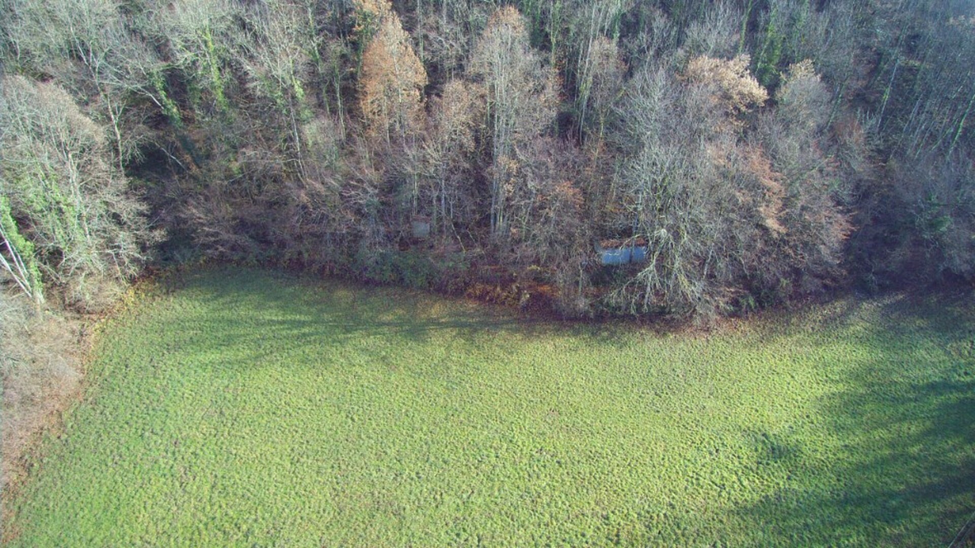 Terrain