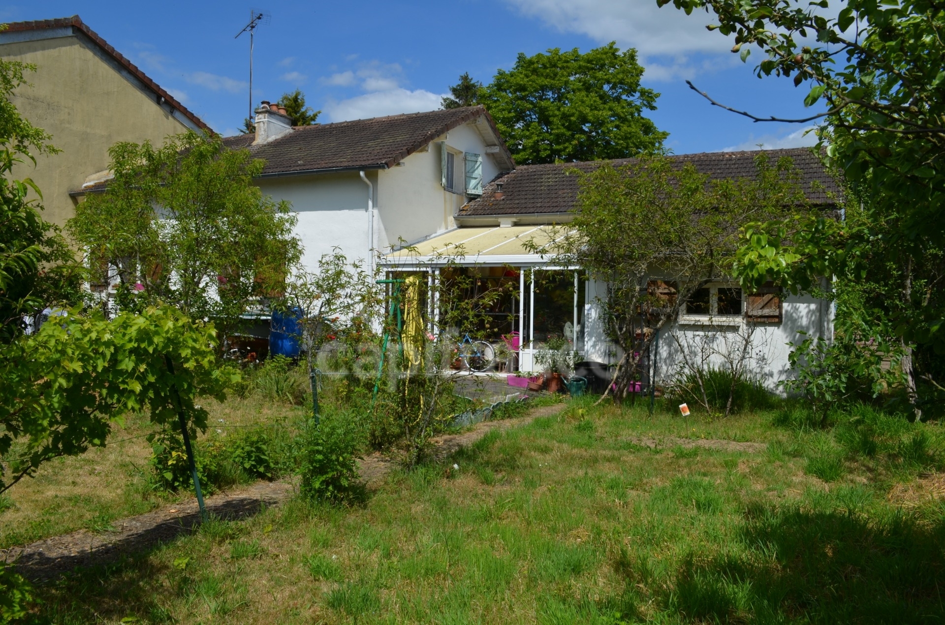 Maison