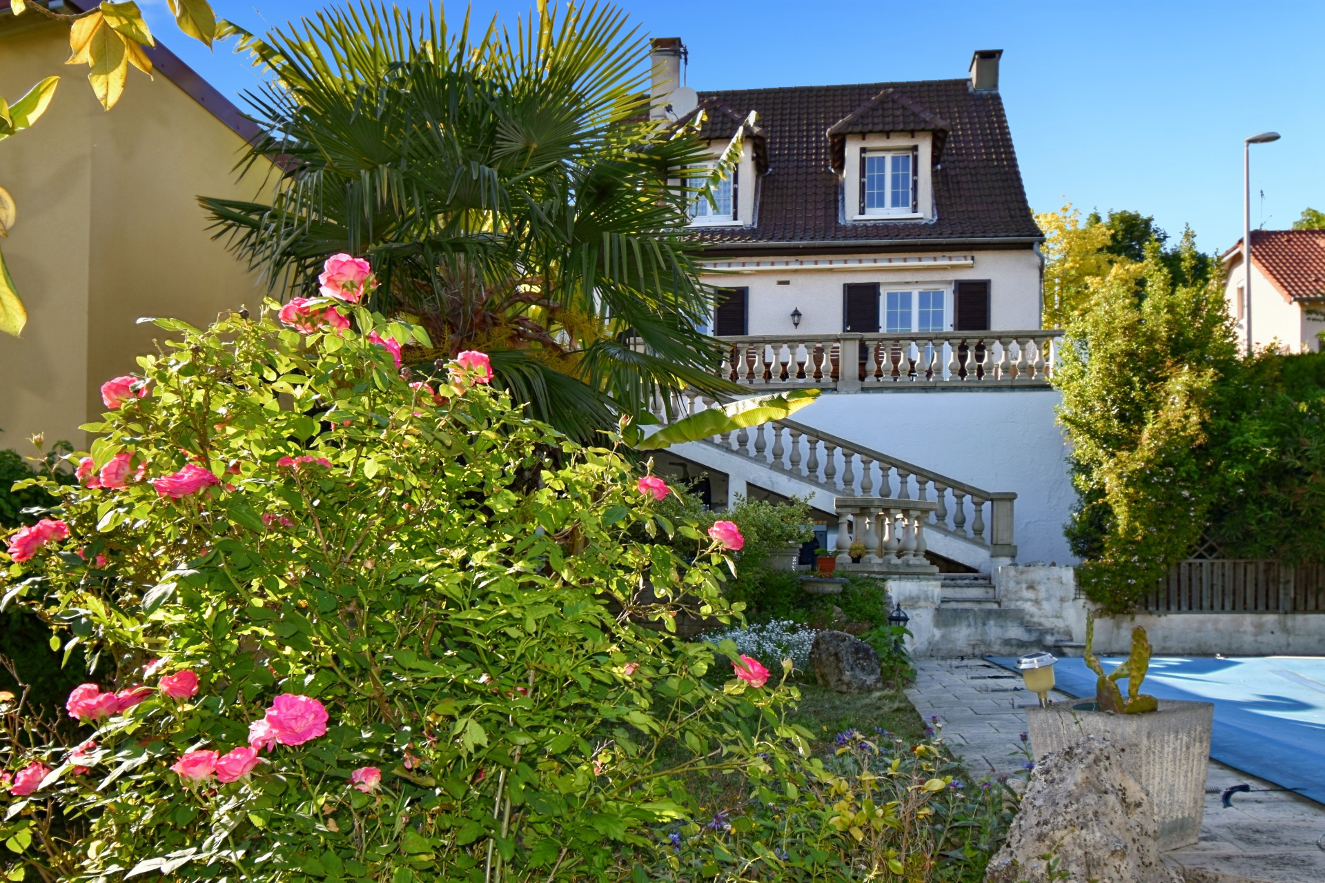 Maison