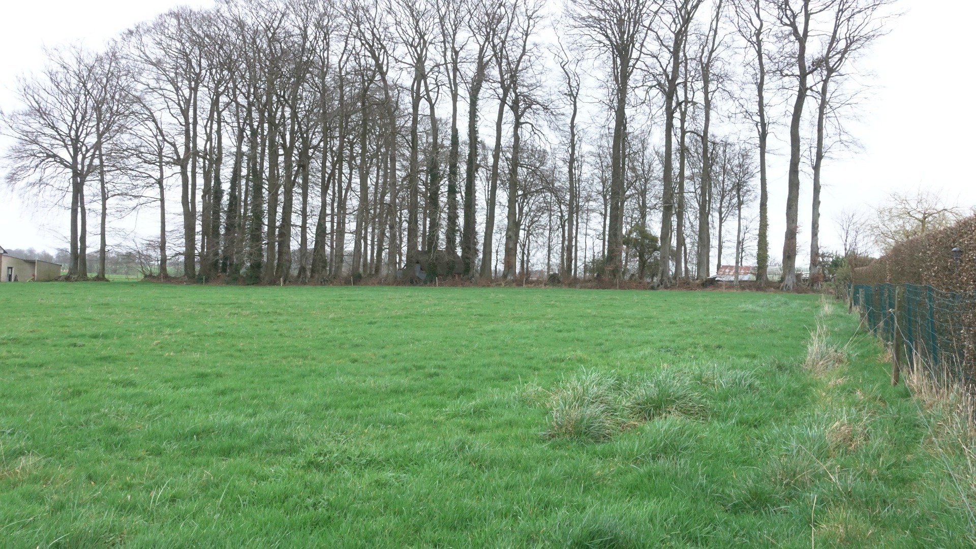 Terrain