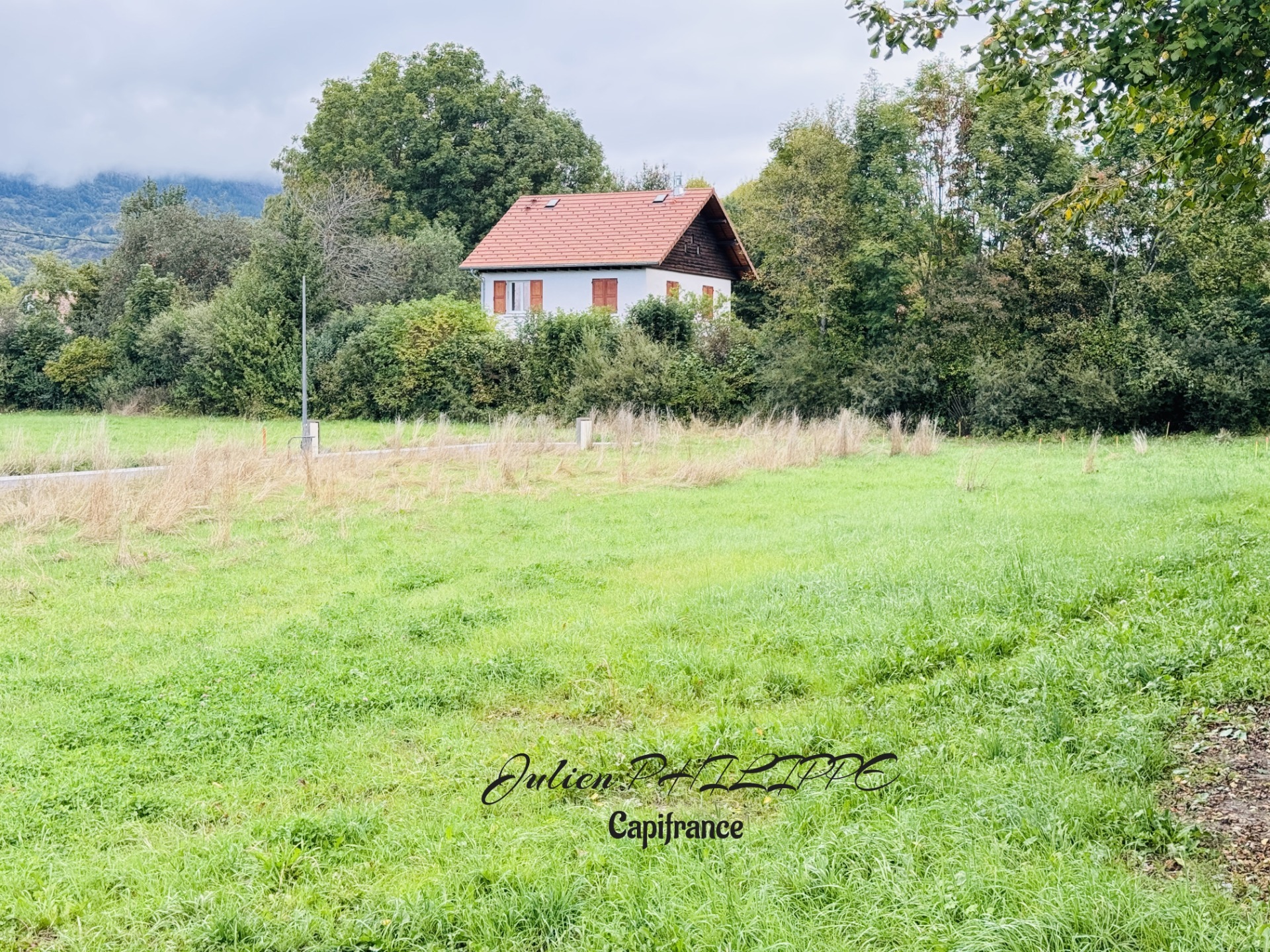 Terrain