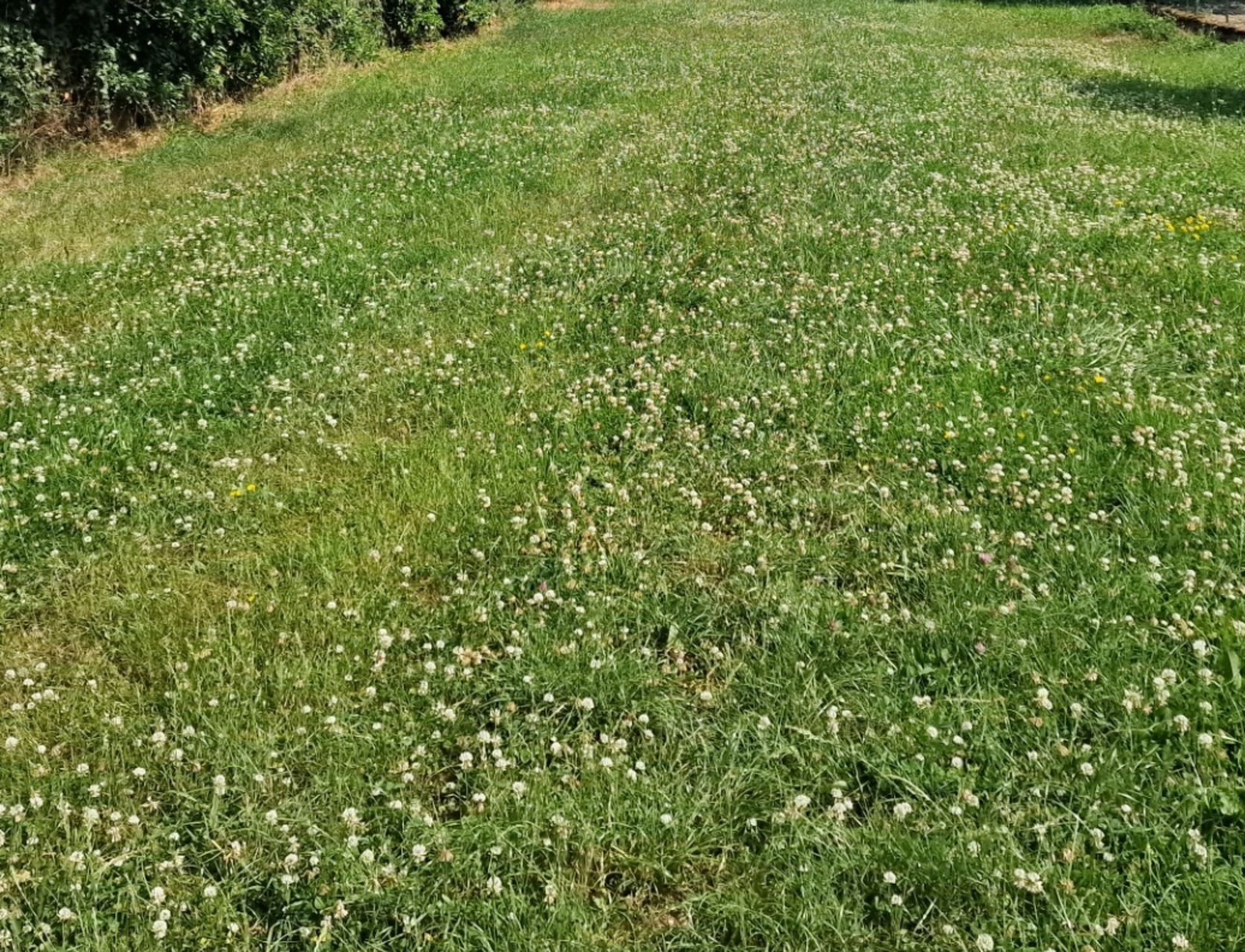 Terrain