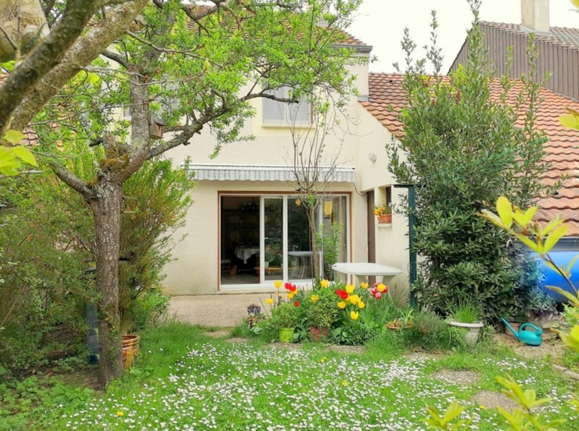 Maison