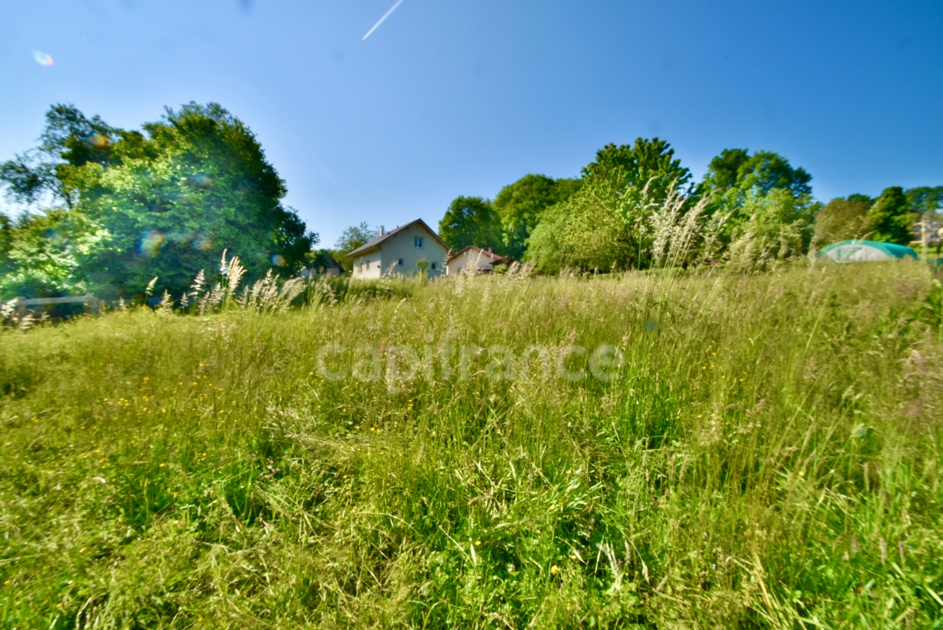 Terrain