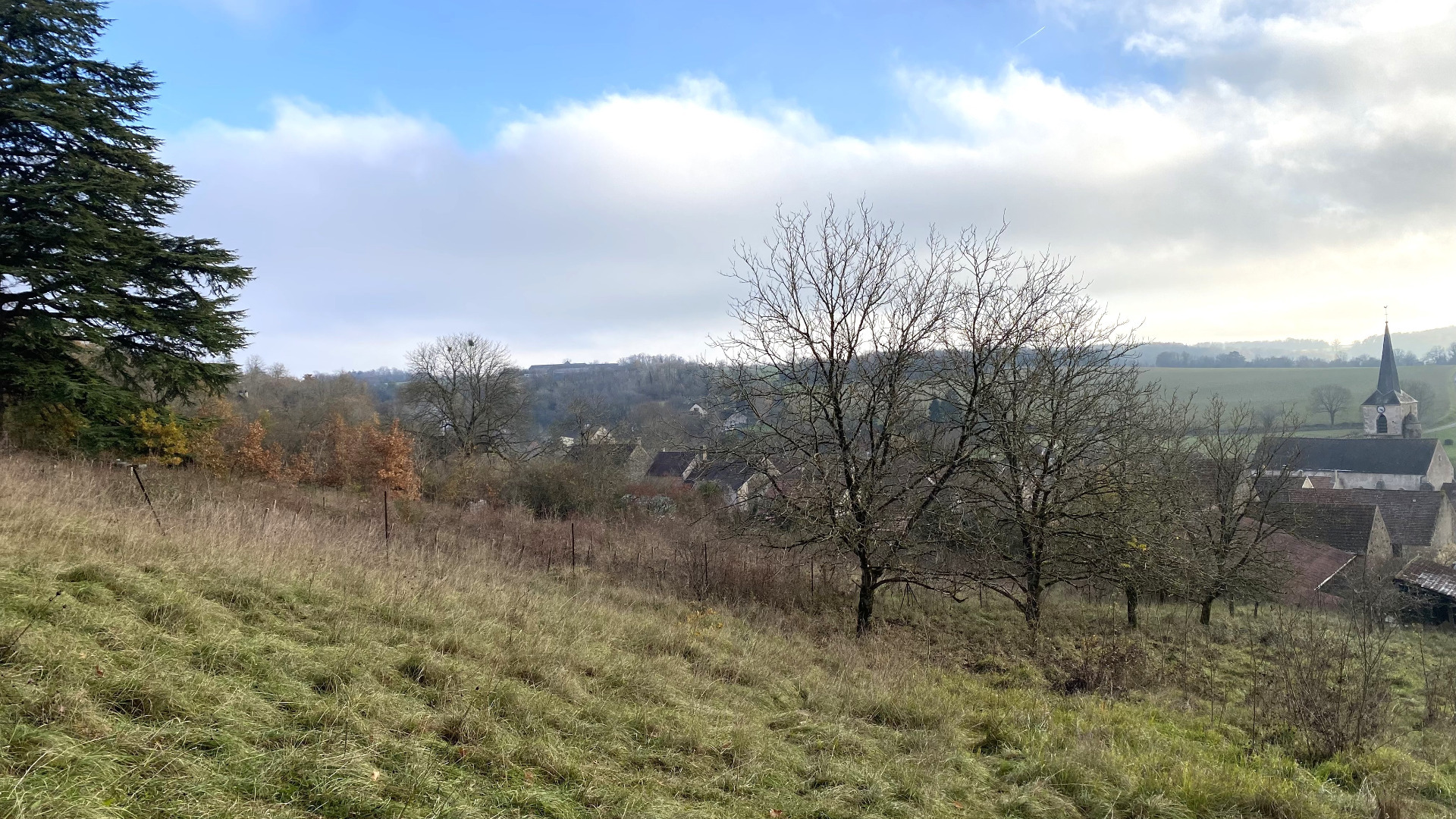 Terrain